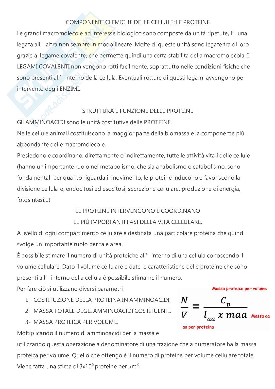 Citologia e istologia - A.A. 2024/2025  Pag. 16