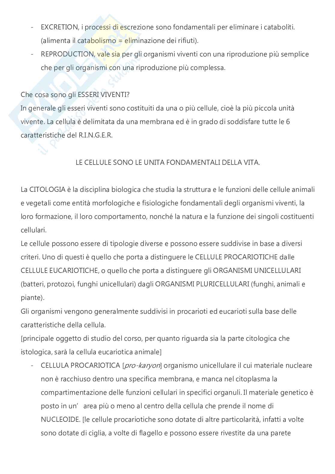 Citologia e istologia - A.A. 2024/2025  Pag. 2