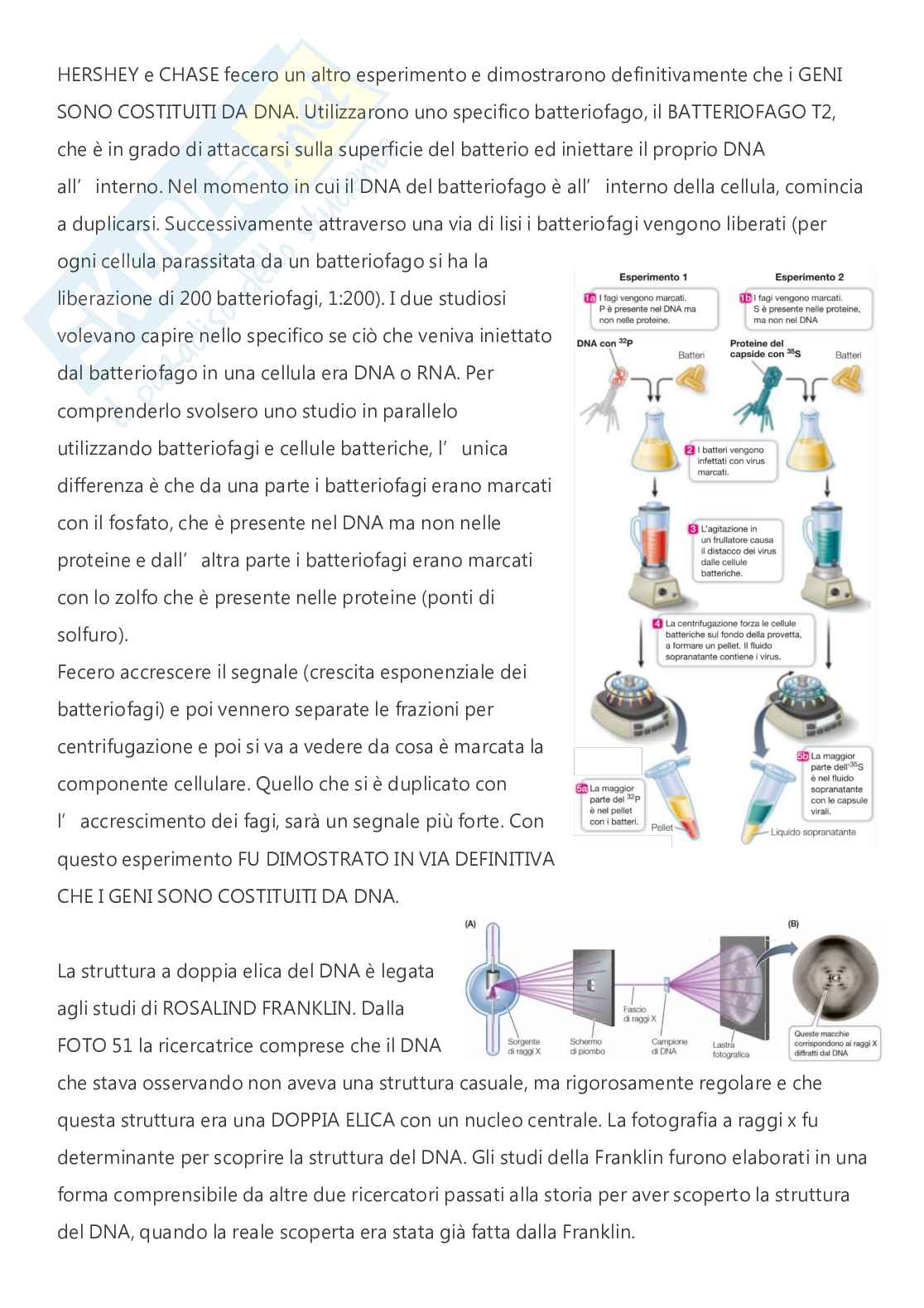 Citologia e istologia - A.A. 2024/2025  Pag. 36