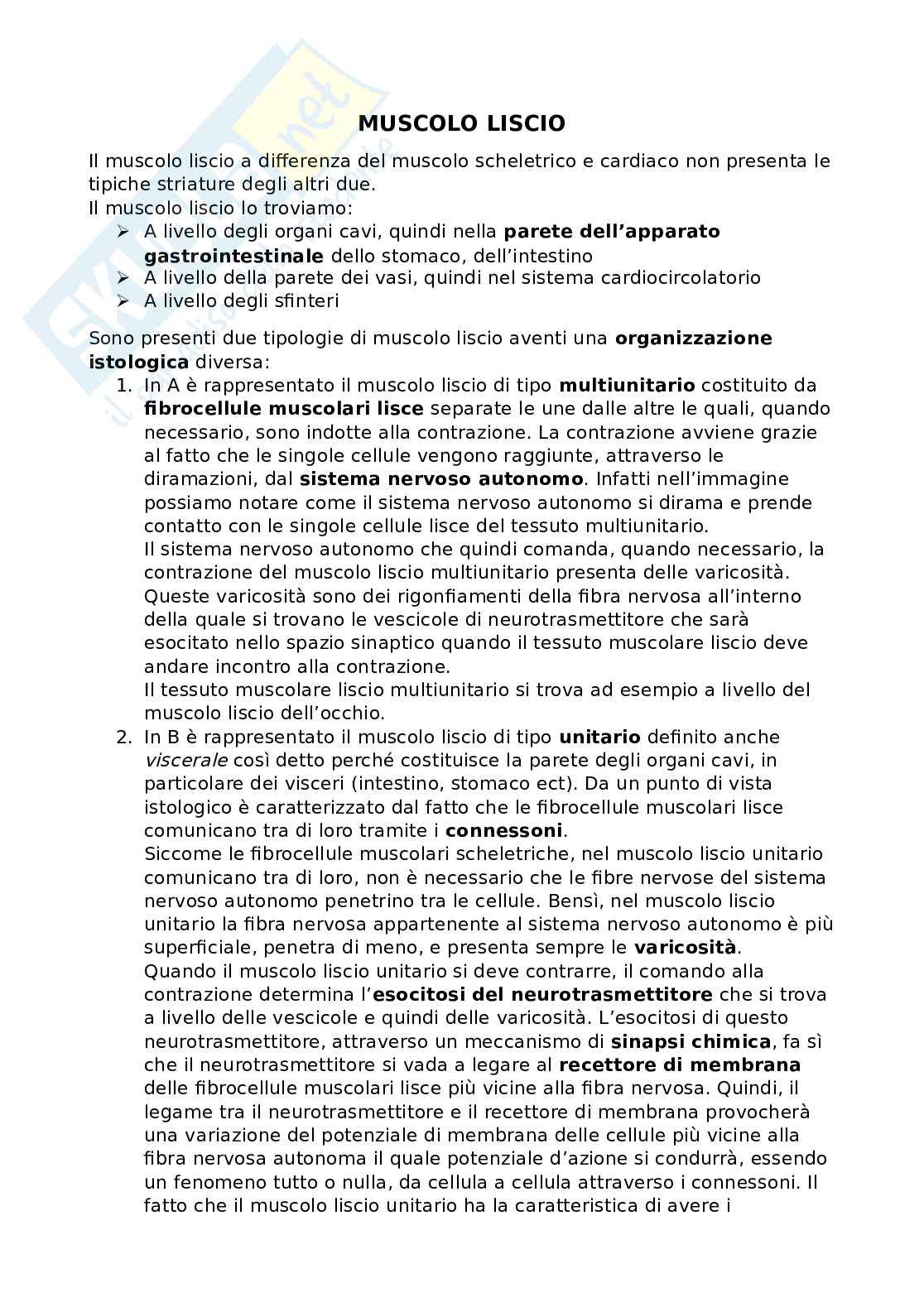 Muscolo liscio Pag. 1