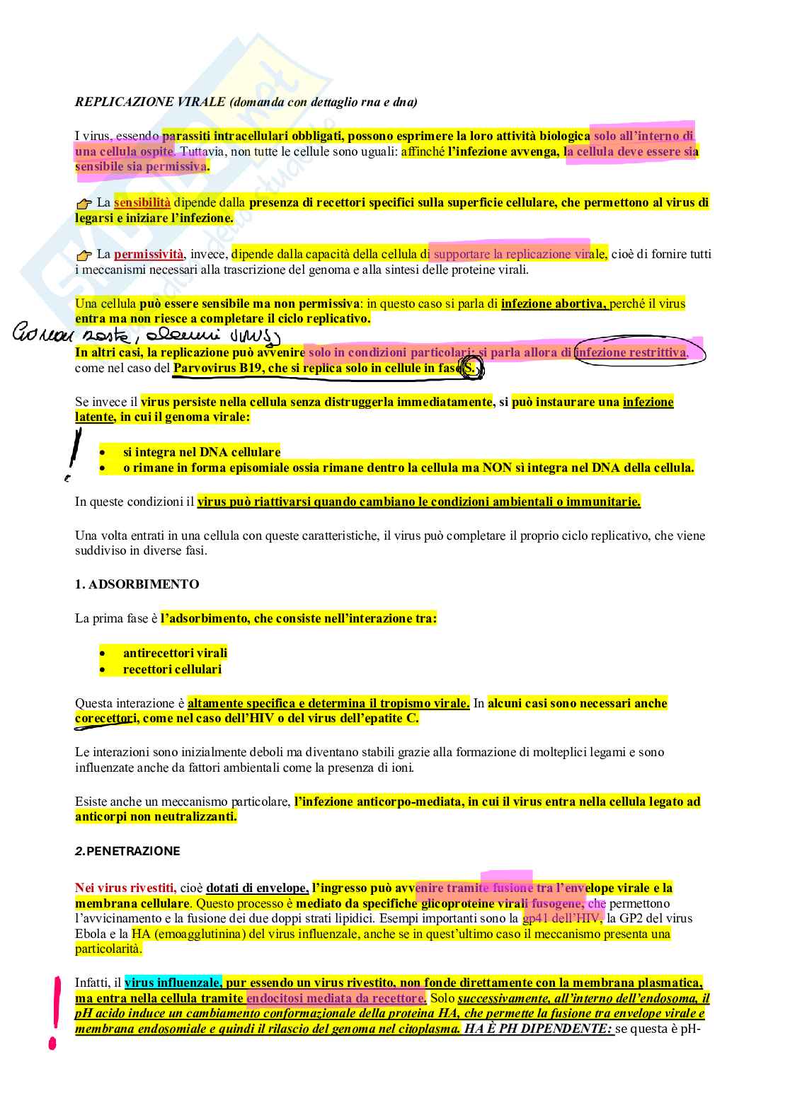 Microbiologia - Virus  Pag. 21