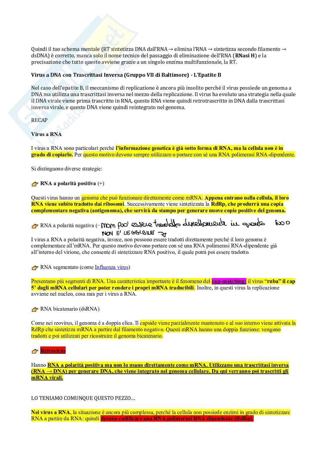 Microbiologia - Virus  Pag. 26