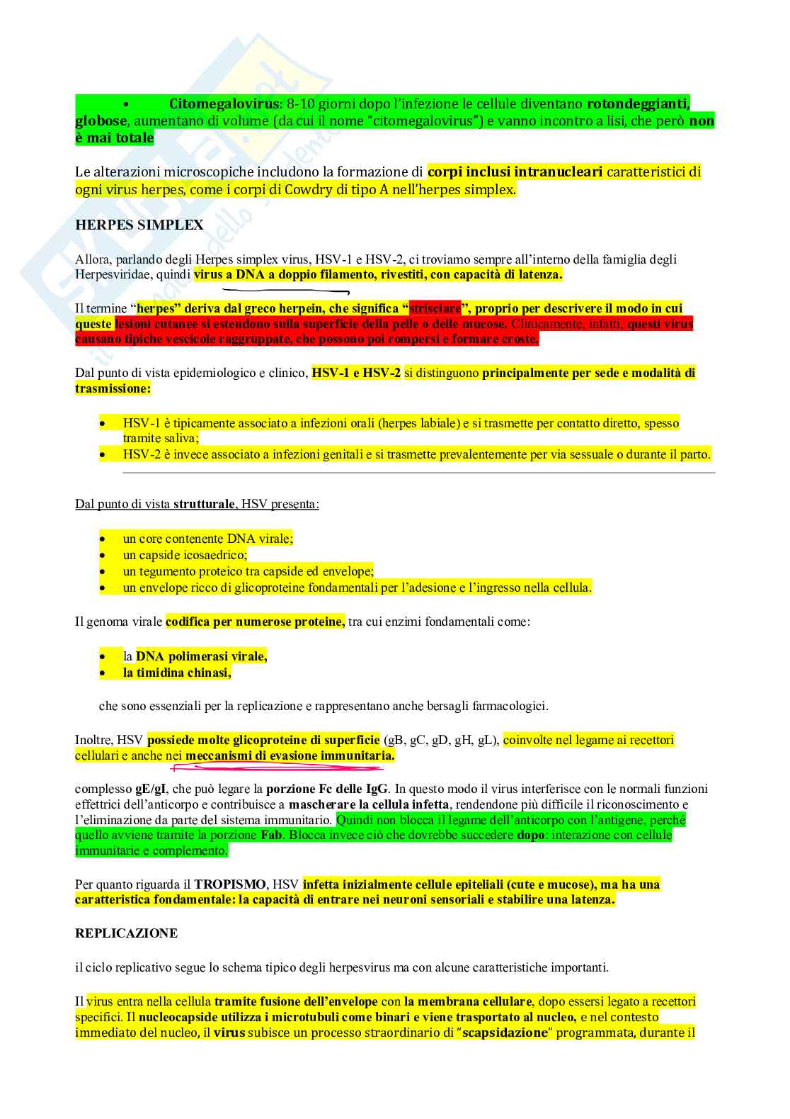 Microbiologia - Virus  Pag. 56