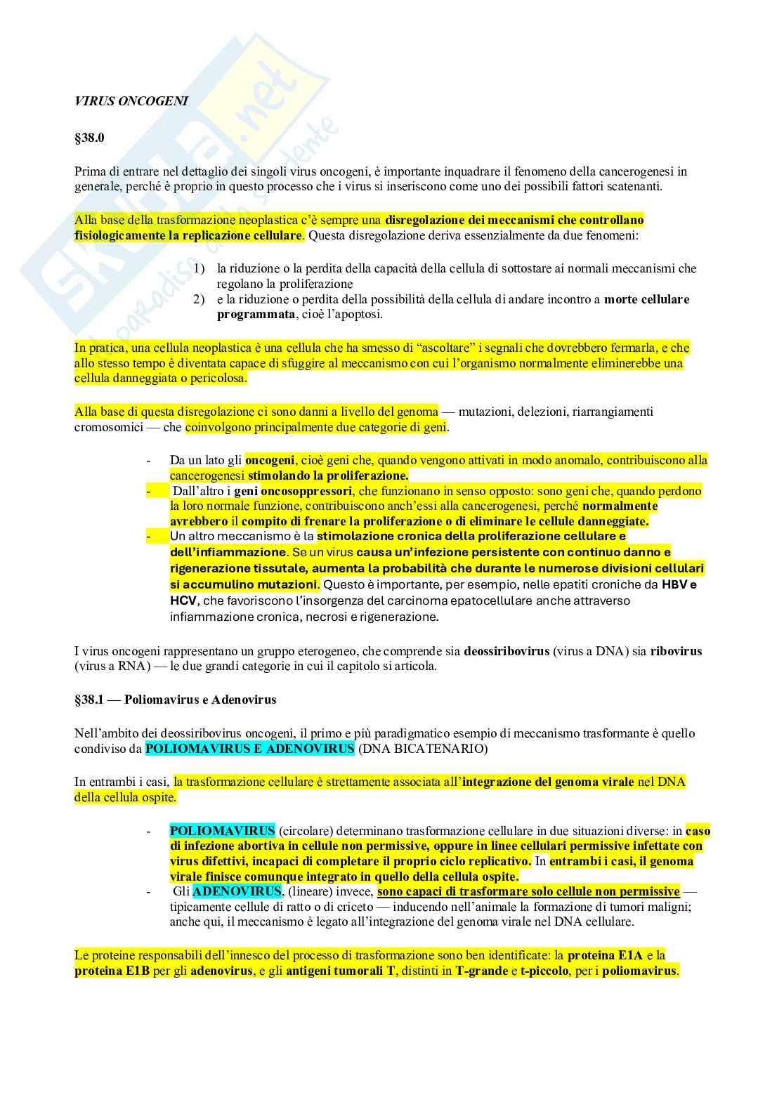 Microbiologia - Virus  Pag. 6