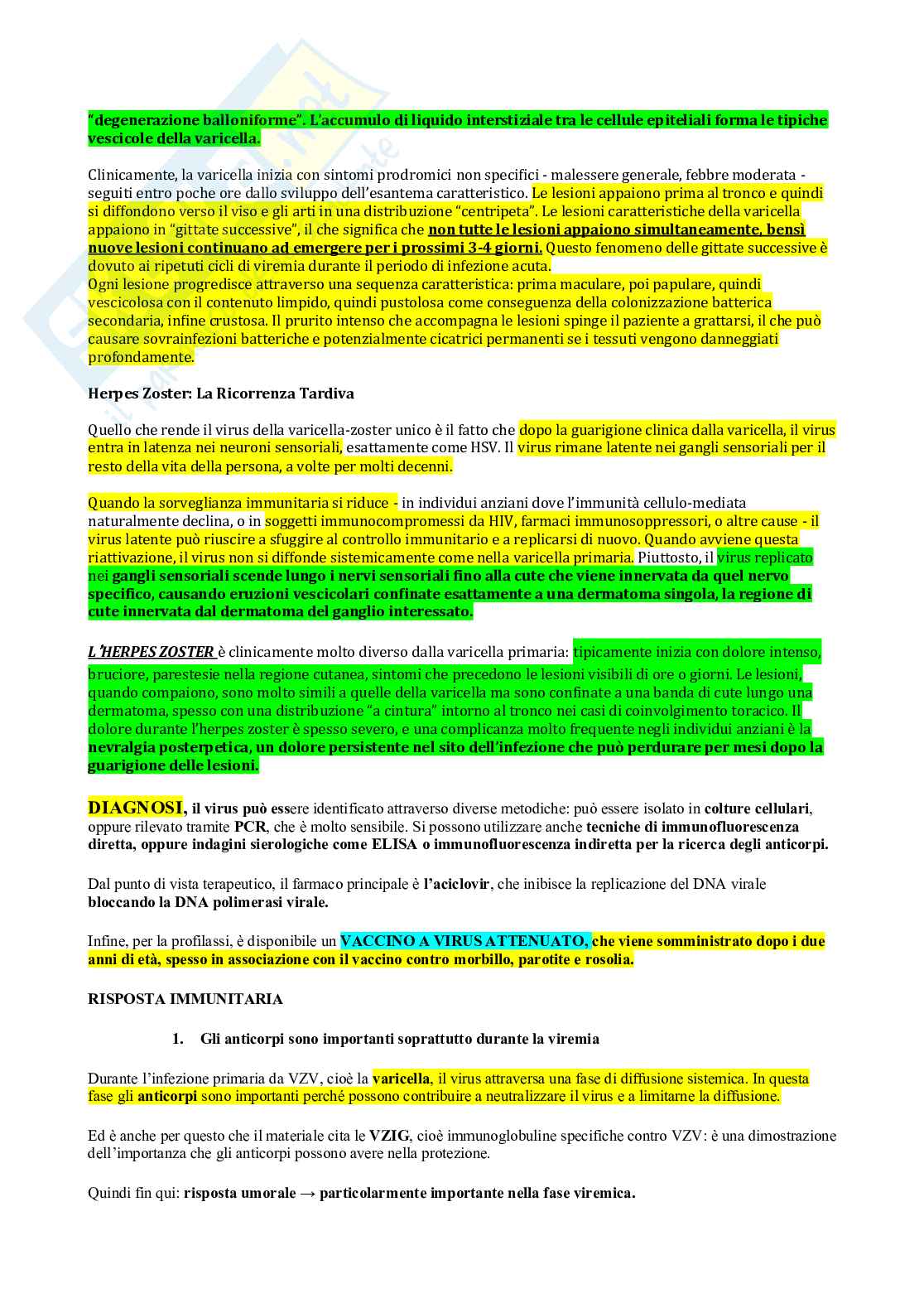 Microbiologia - Virus  Pag. 61