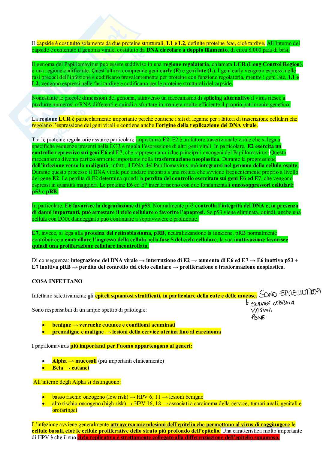 Microbiologia - Virus  Pag. 71