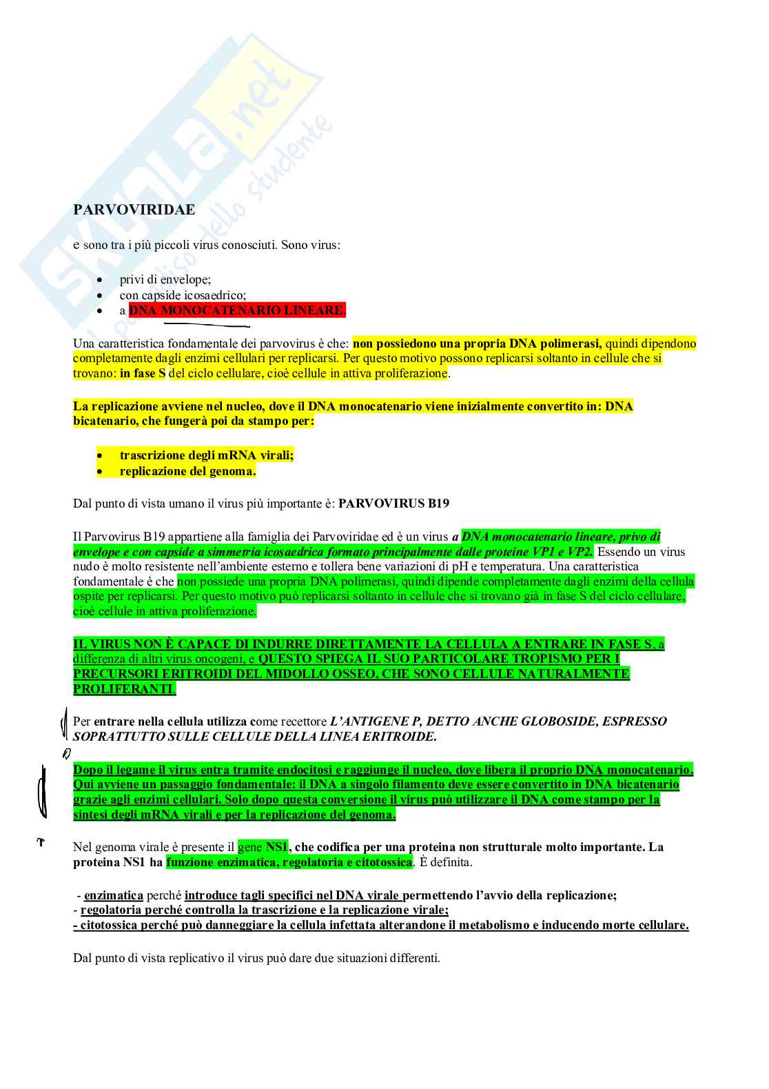Microbiologia - Virus  Pag. 76