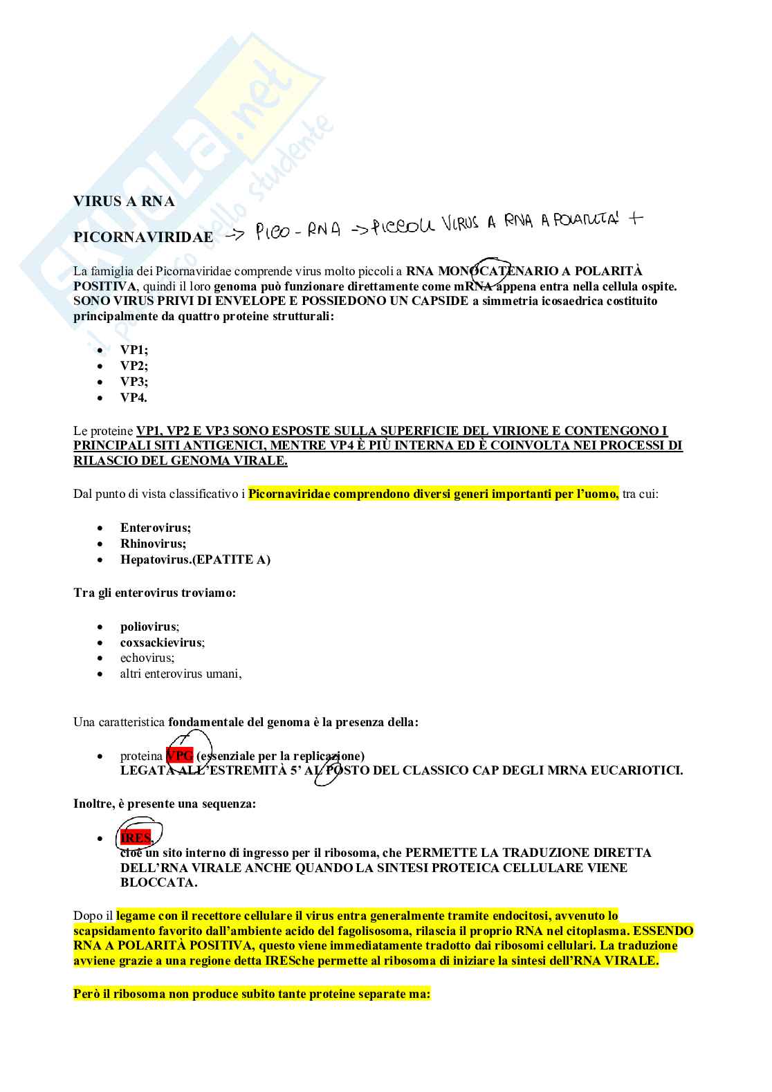 Microbiologia - Virus  Pag. 81