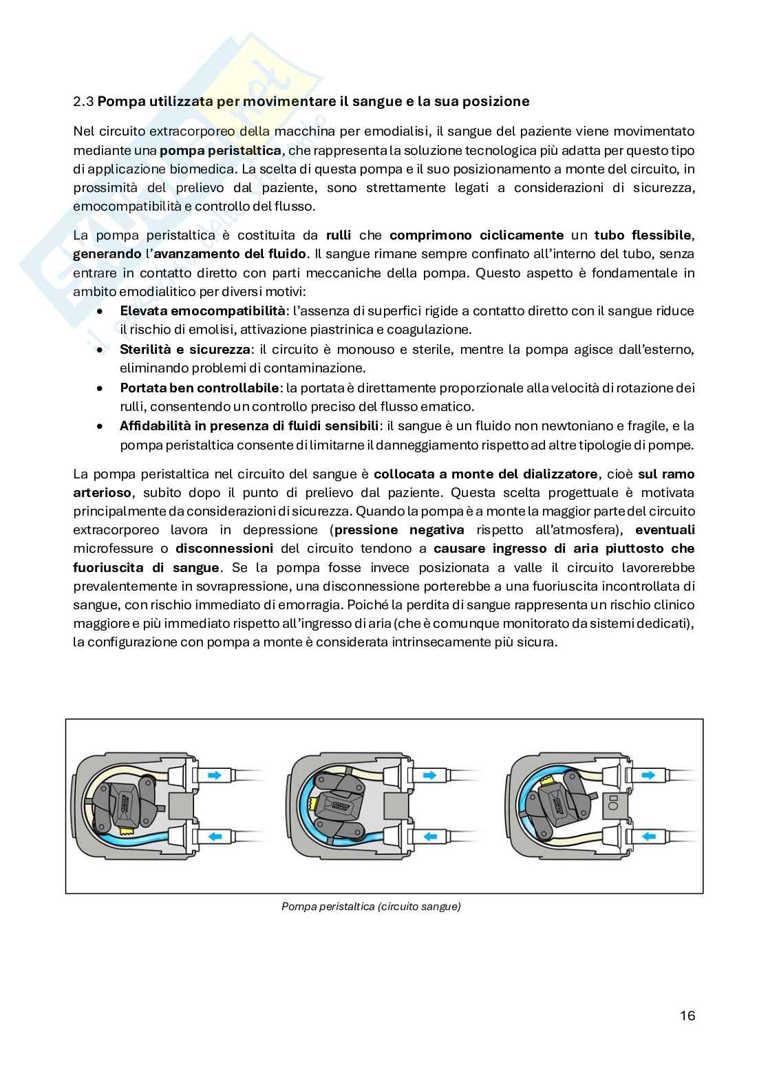 Appunti teoria Applicazioni ingegneristiche in ambito biomedico Pag. 16