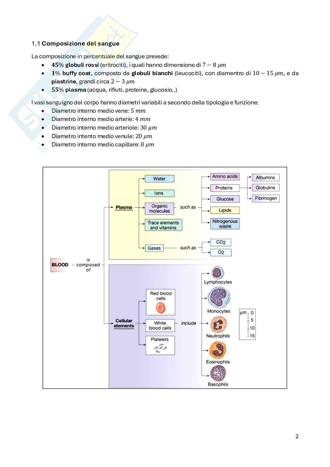 Appunti teoria Applicazioni ingegneristiche in ambito biomedico Pag. 2