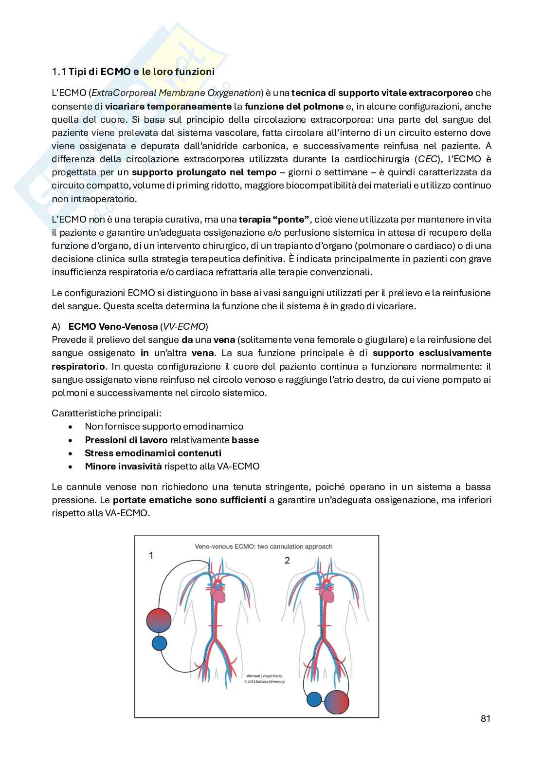 Appunti teoria Applicazioni ingegneristiche in ambito biomedico Pag. 81