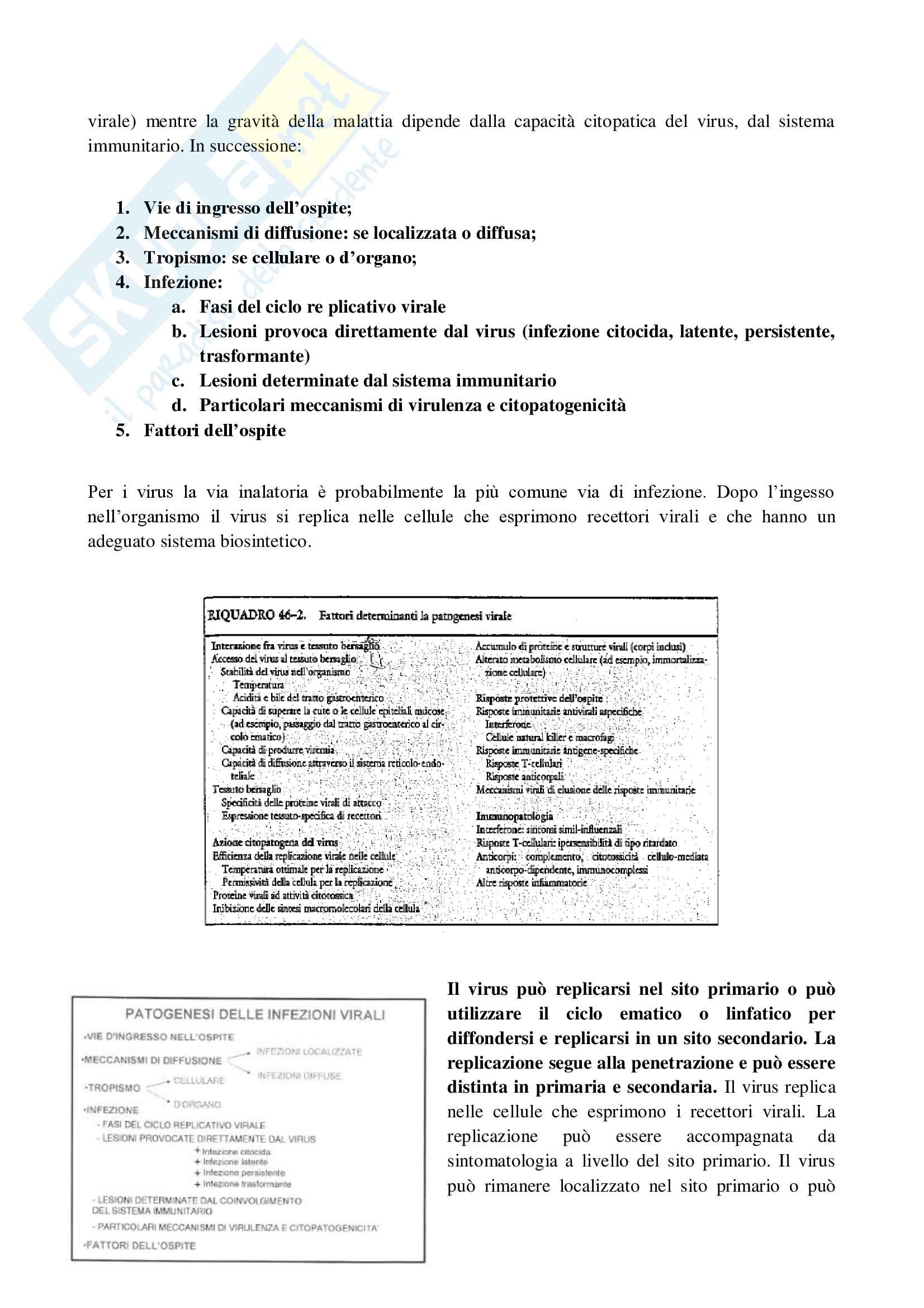 Riassunto esame virologia ( microbiologia), prof. Angiolella, libro consigliato La Placa Pag. 16