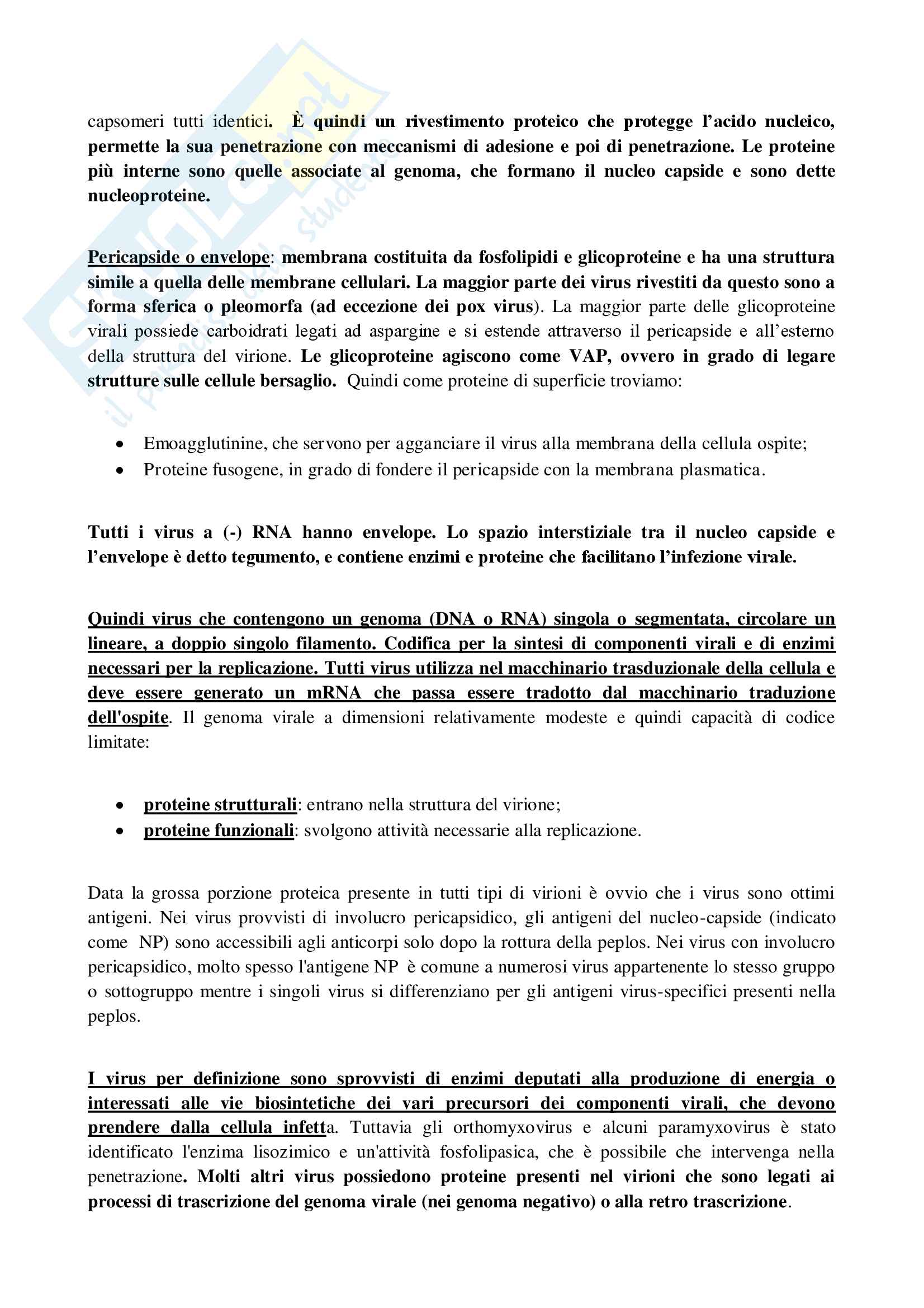 Riassunto esame virologia ( microbiologia), prof. Angiolella, libro consigliato La Placa Pag. 2