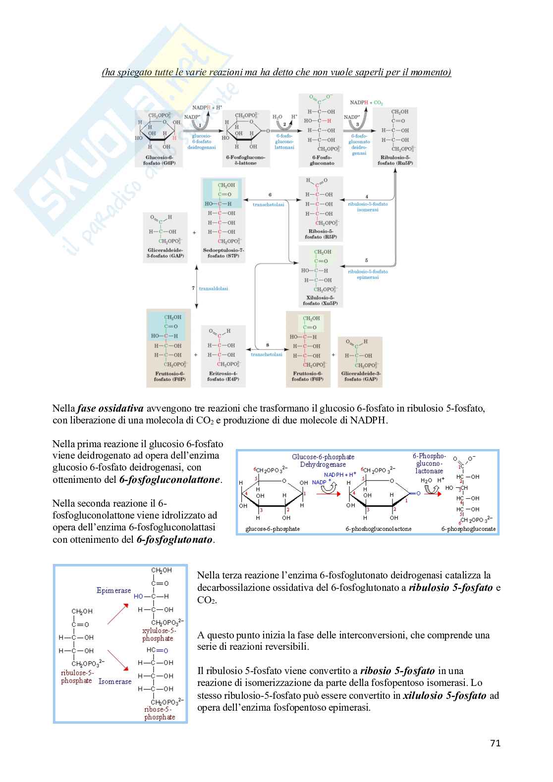 Biochimica Pag. 71
