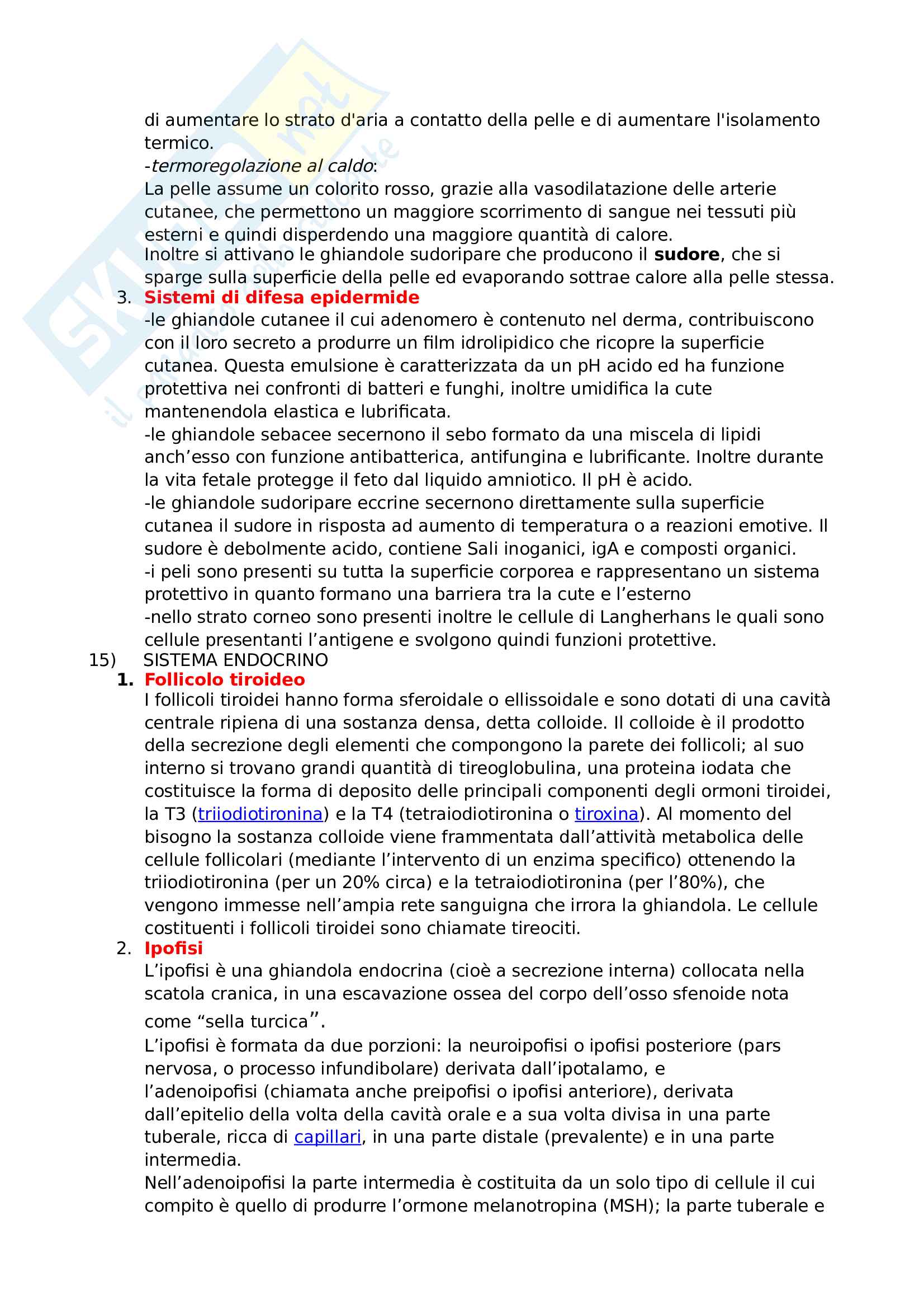 Domande esame anatomia - professore C.Rumio Pag. 26