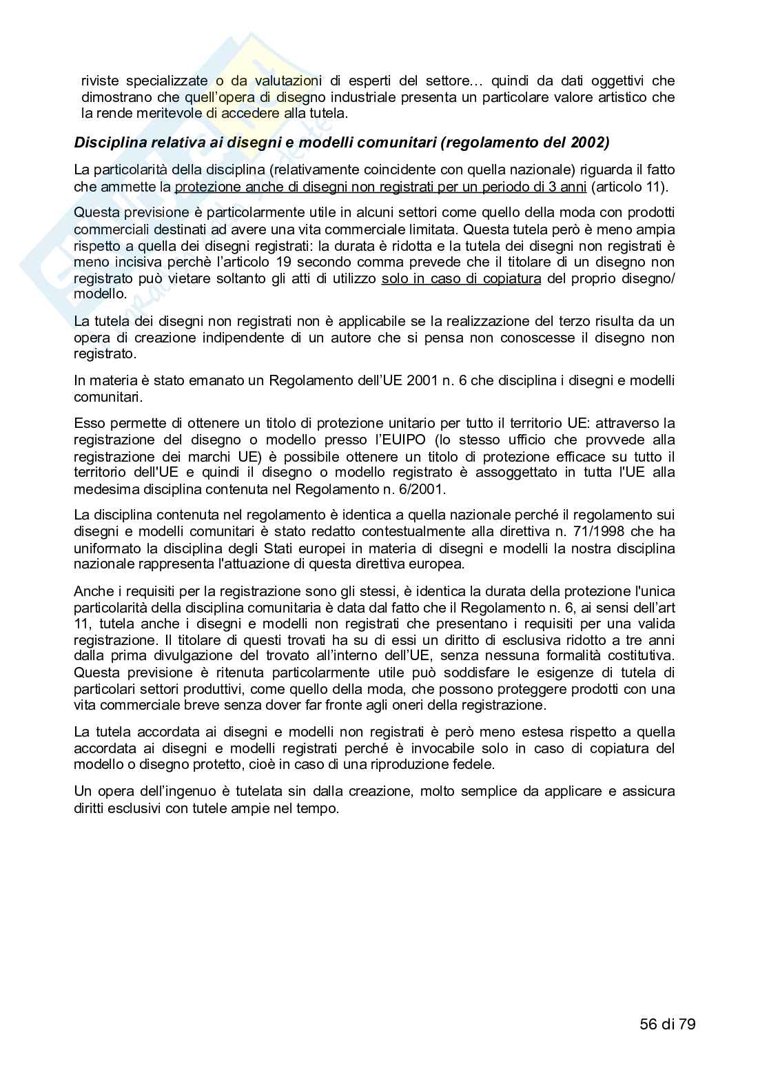 Appunti delle seconde 10 lezioni di Diritto industriale  Pag. 56