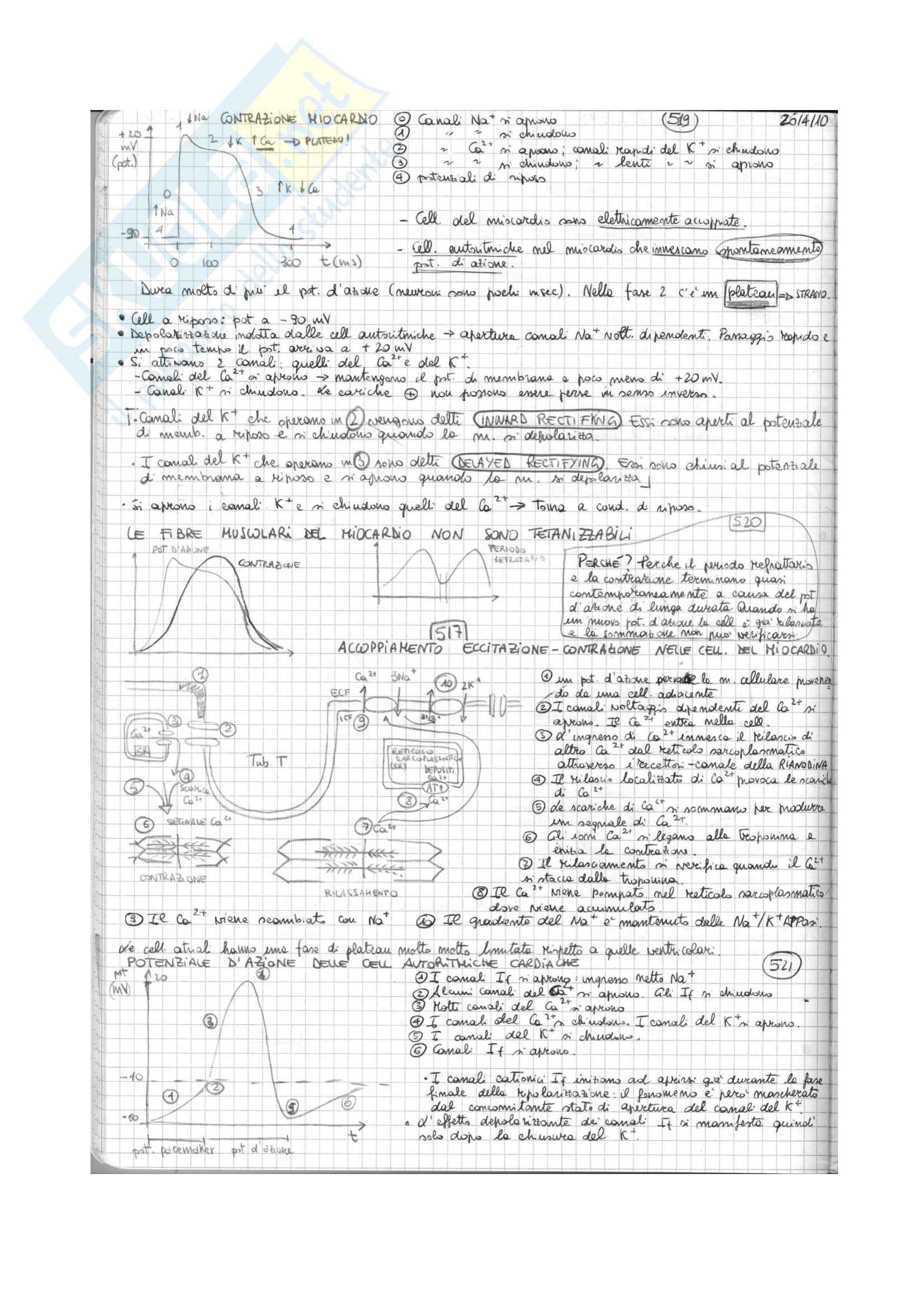 Lezioni, Fisiologia generale Pag. 21