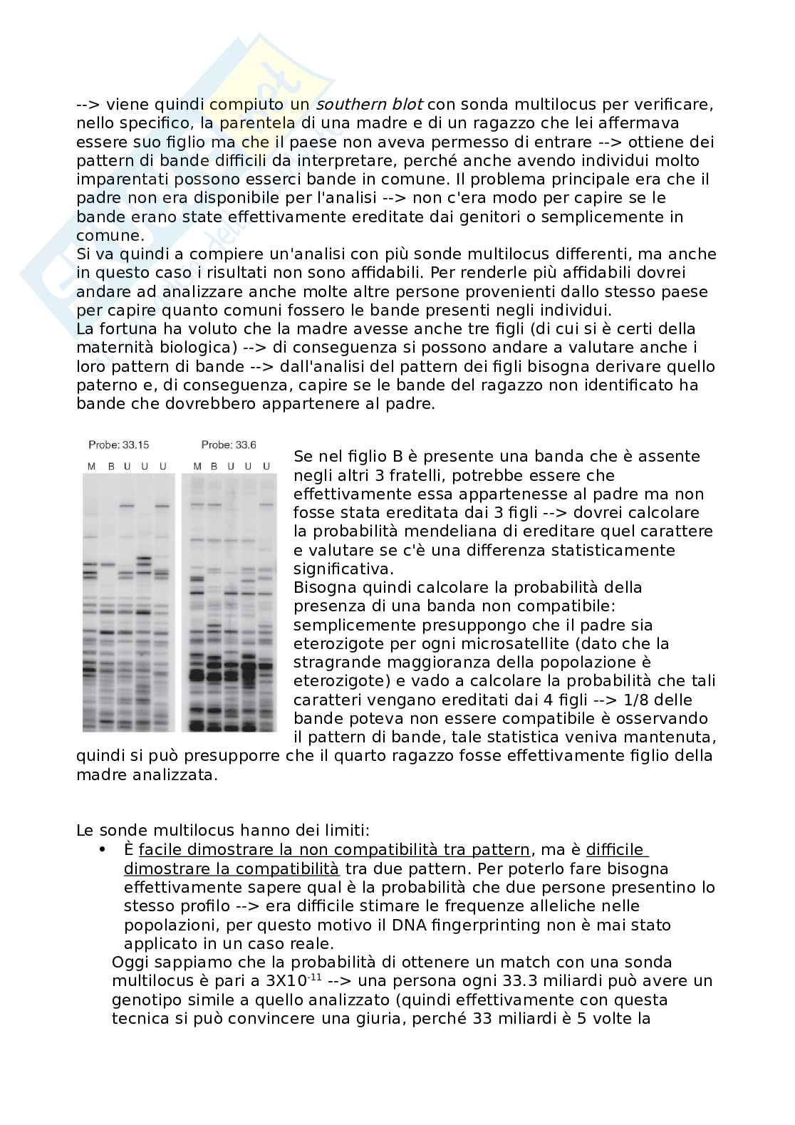 Appunti di Genetica forense Pag. 6