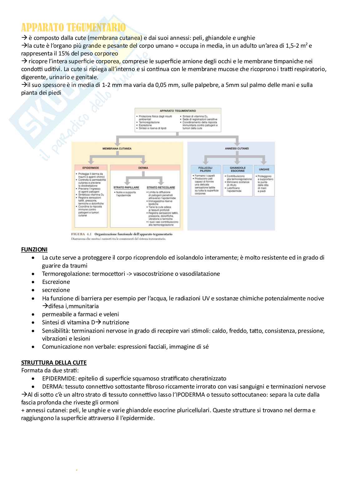 Anatomia umana - Apparati Pag. 1