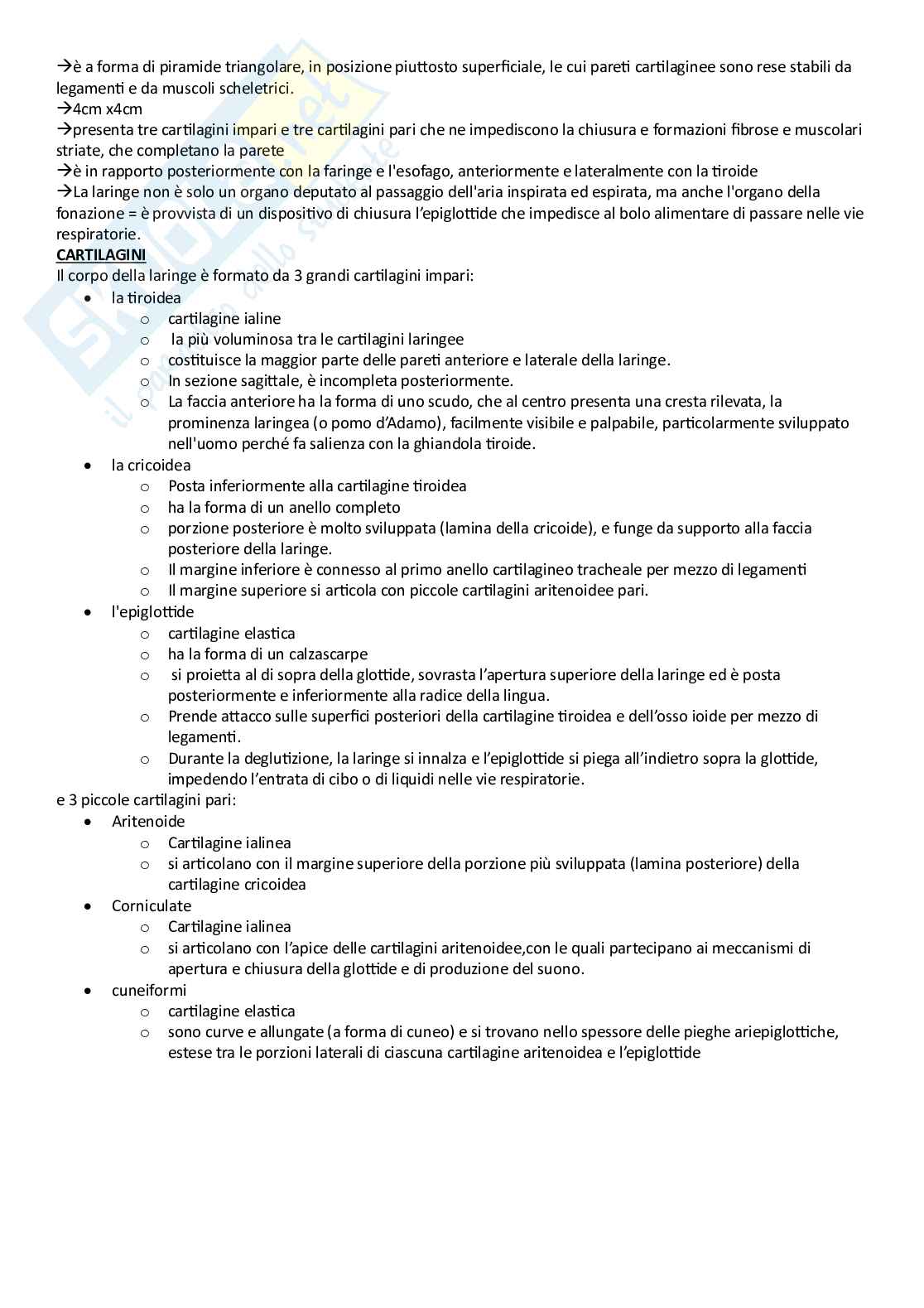 Anatomia umana - Apparati Pag. 26