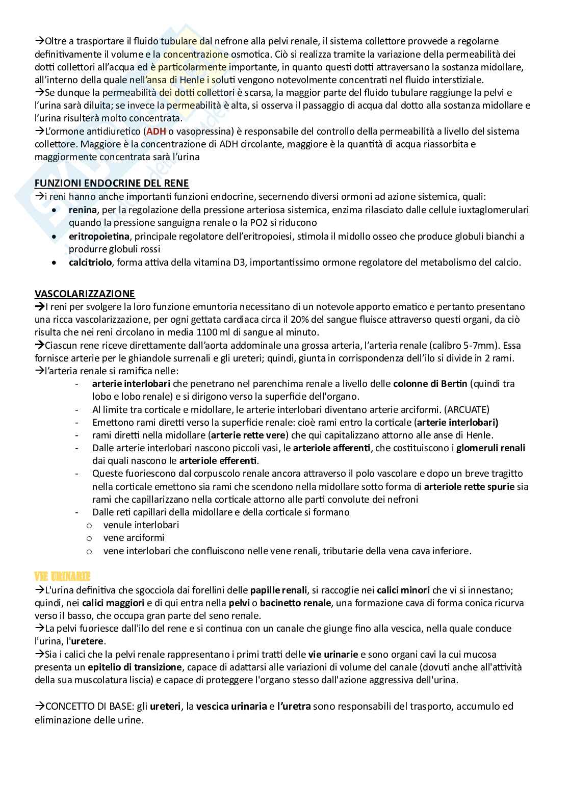 Anatomia umana - Apparati Pag. 41