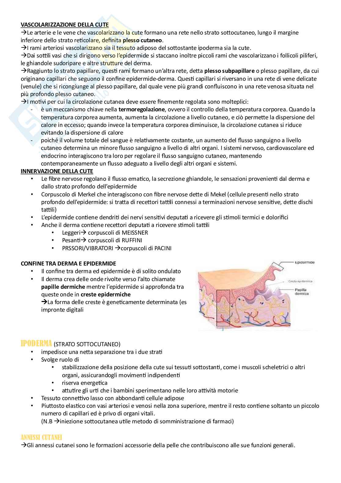 Anatomia umana - Apparati Pag. 6