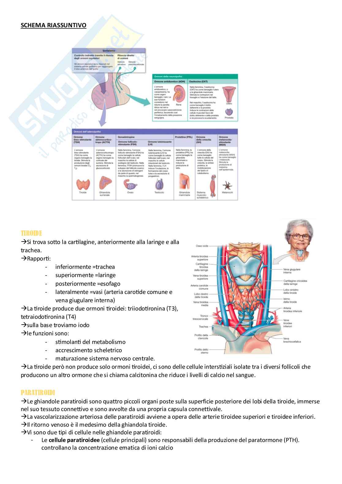 Anatomia umana - Apparati Pag. 66