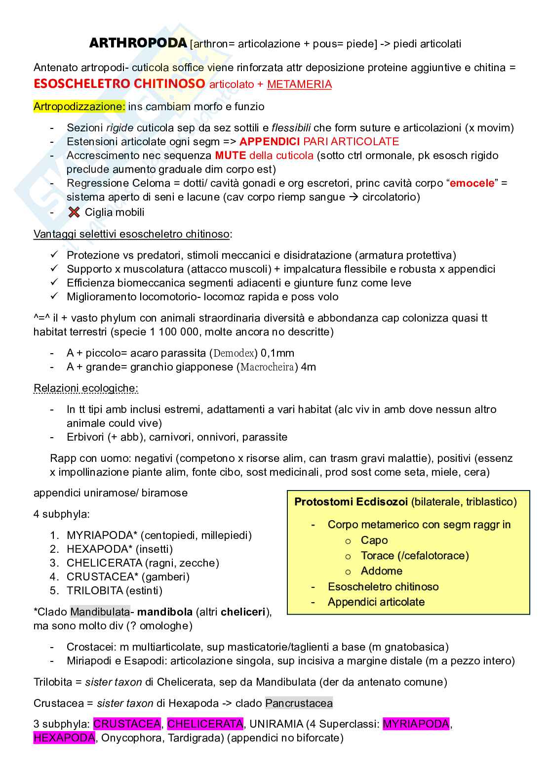 Zoologia sistematica Pag. 1