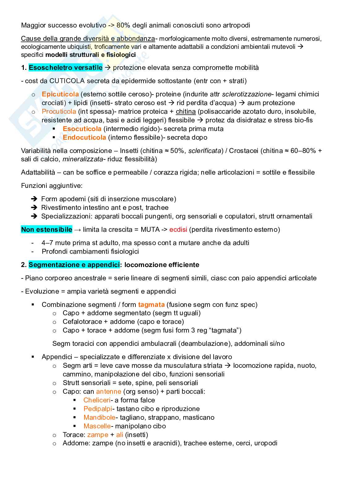 Zoologia sistematica Pag. 2