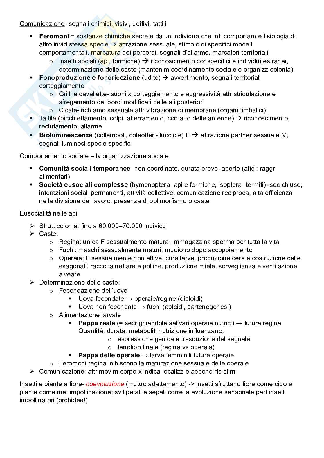 Zoologia sistematica Pag. 41