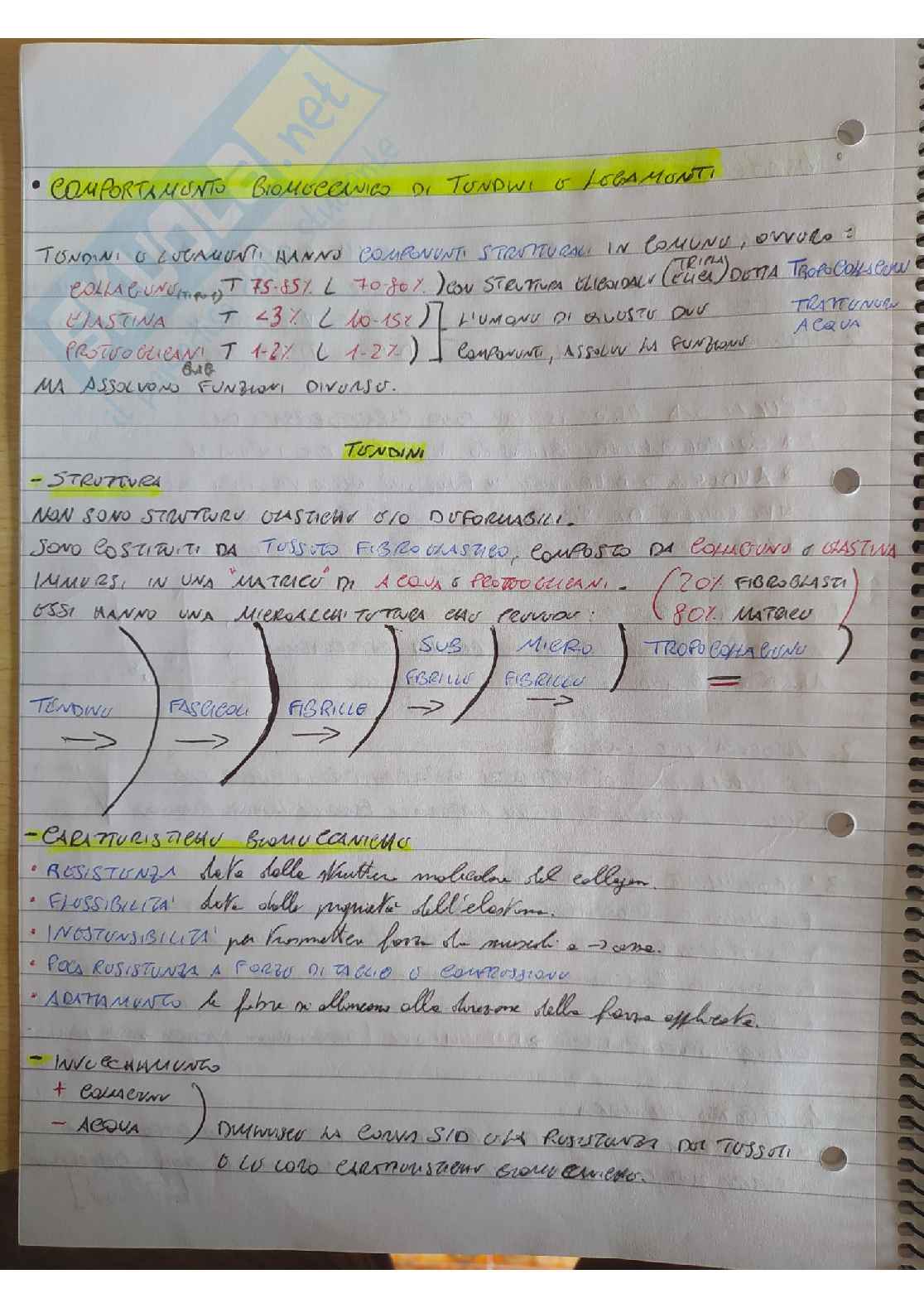 Appunti Teoria, metodologia e didattica del movimento umano Pag. 6