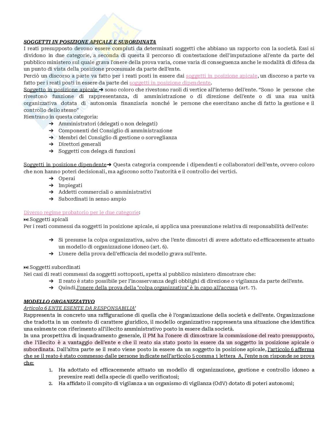 Diritto processuale penale delle società  Pag. 6