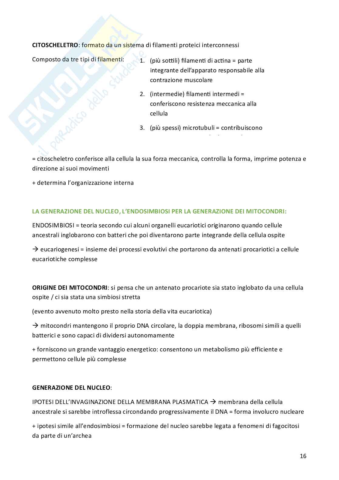 Biologia cellulare per semestre filtro Medicina Pag. 16