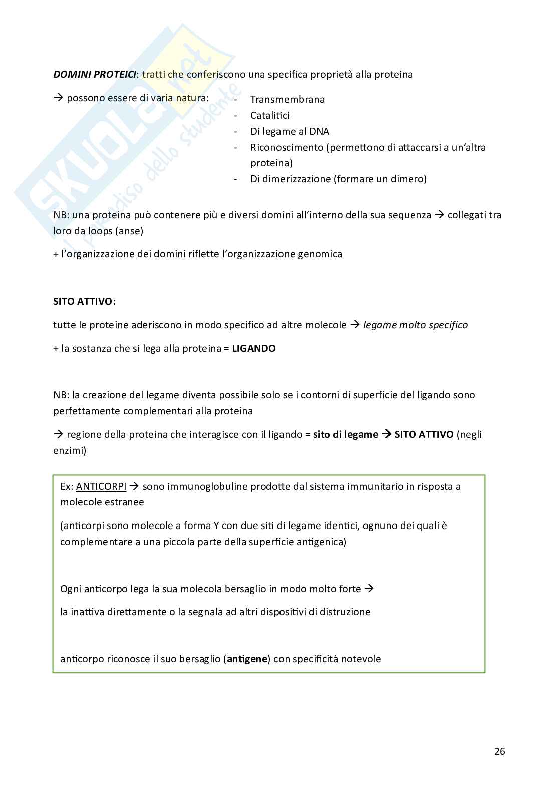 Biologia cellulare per semestre filtro Medicina Pag. 26