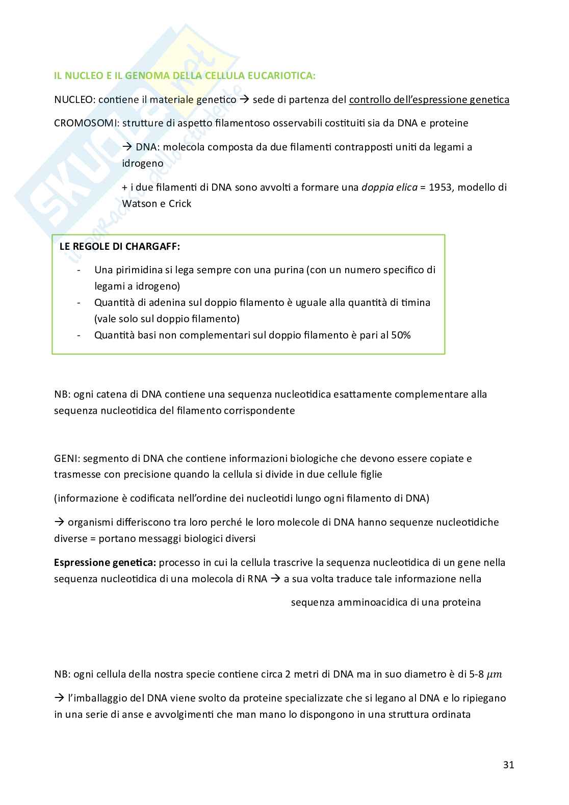 Biologia cellulare per semestre filtro Medicina Pag. 31
