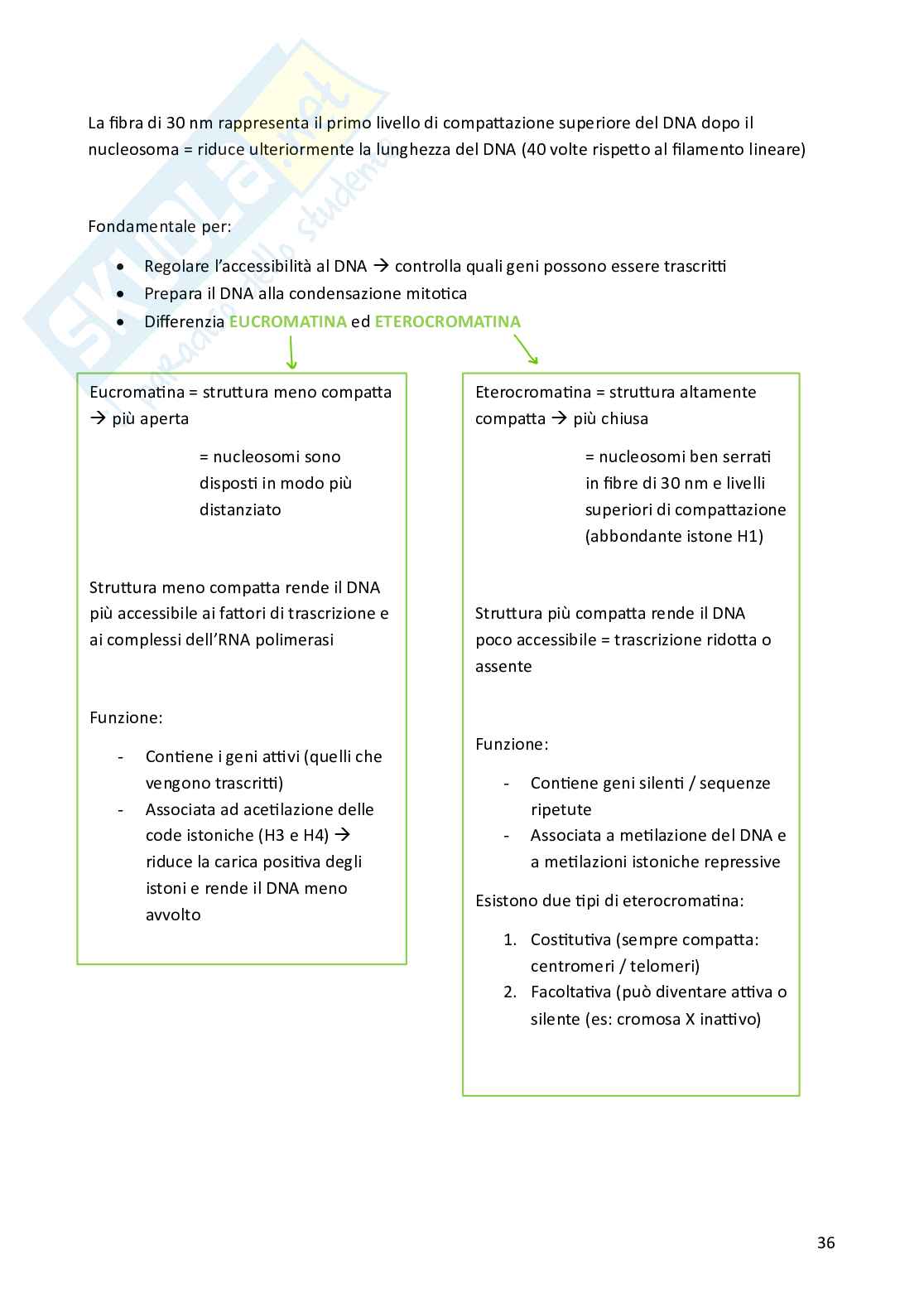 Biologia cellulare per semestre filtro Medicina Pag. 36