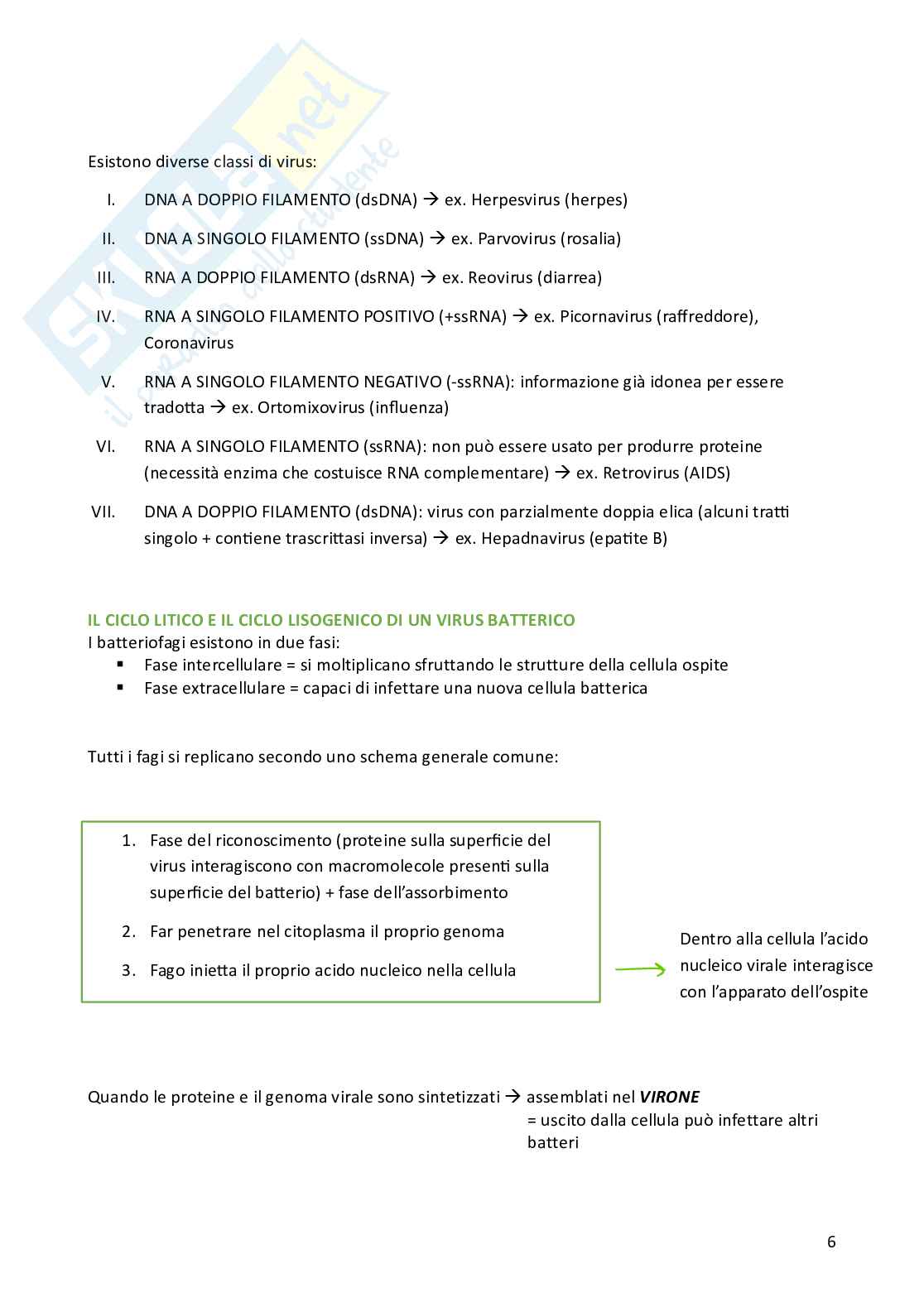Biologia cellulare per semestre filtro Medicina Pag. 6