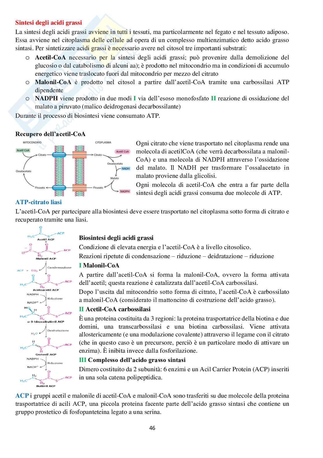 Appunti di Chimica biologica Pag. 46