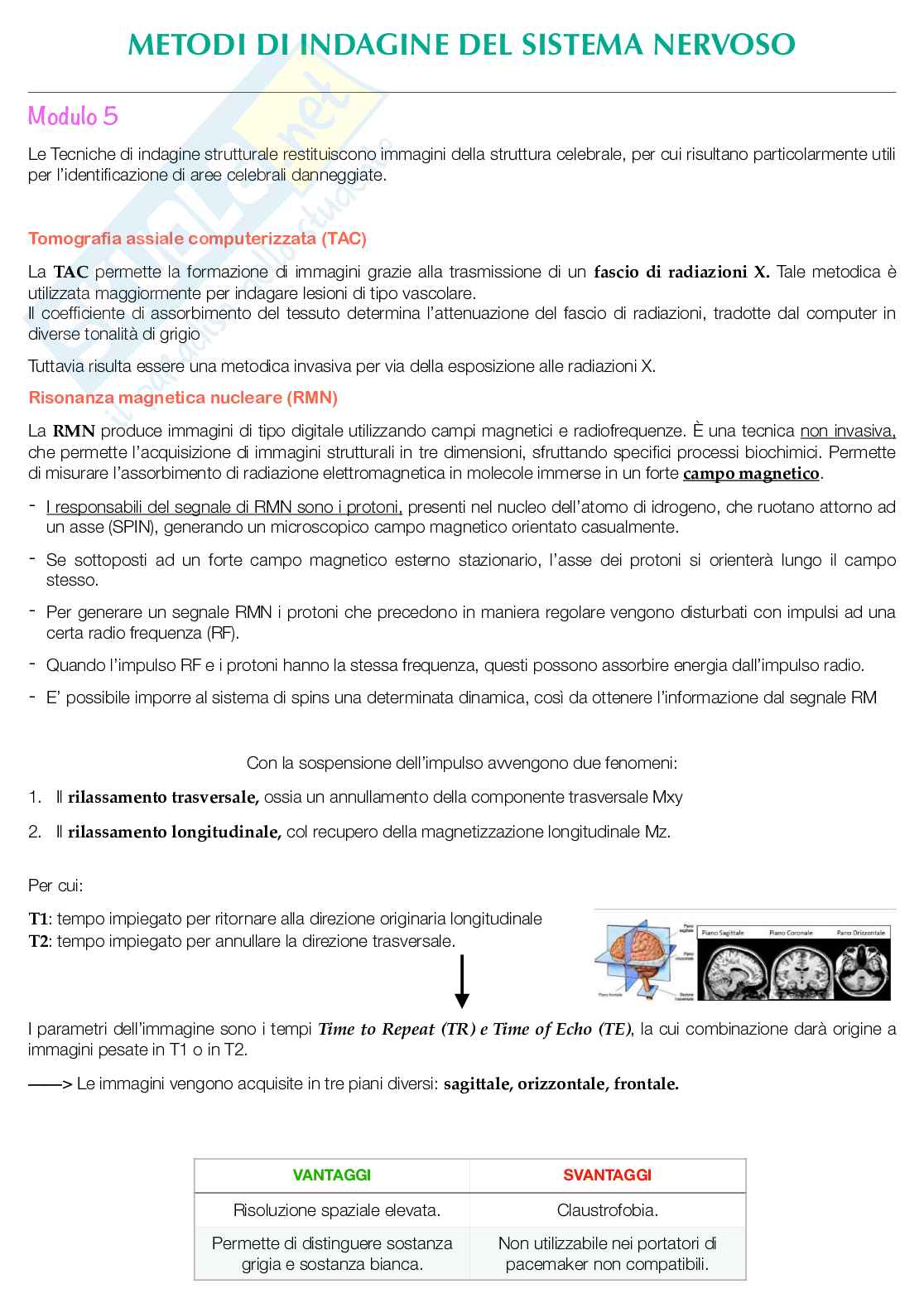Esame Fondamenti anatomo-fisiologici dell'attività psichica  Pag. 31