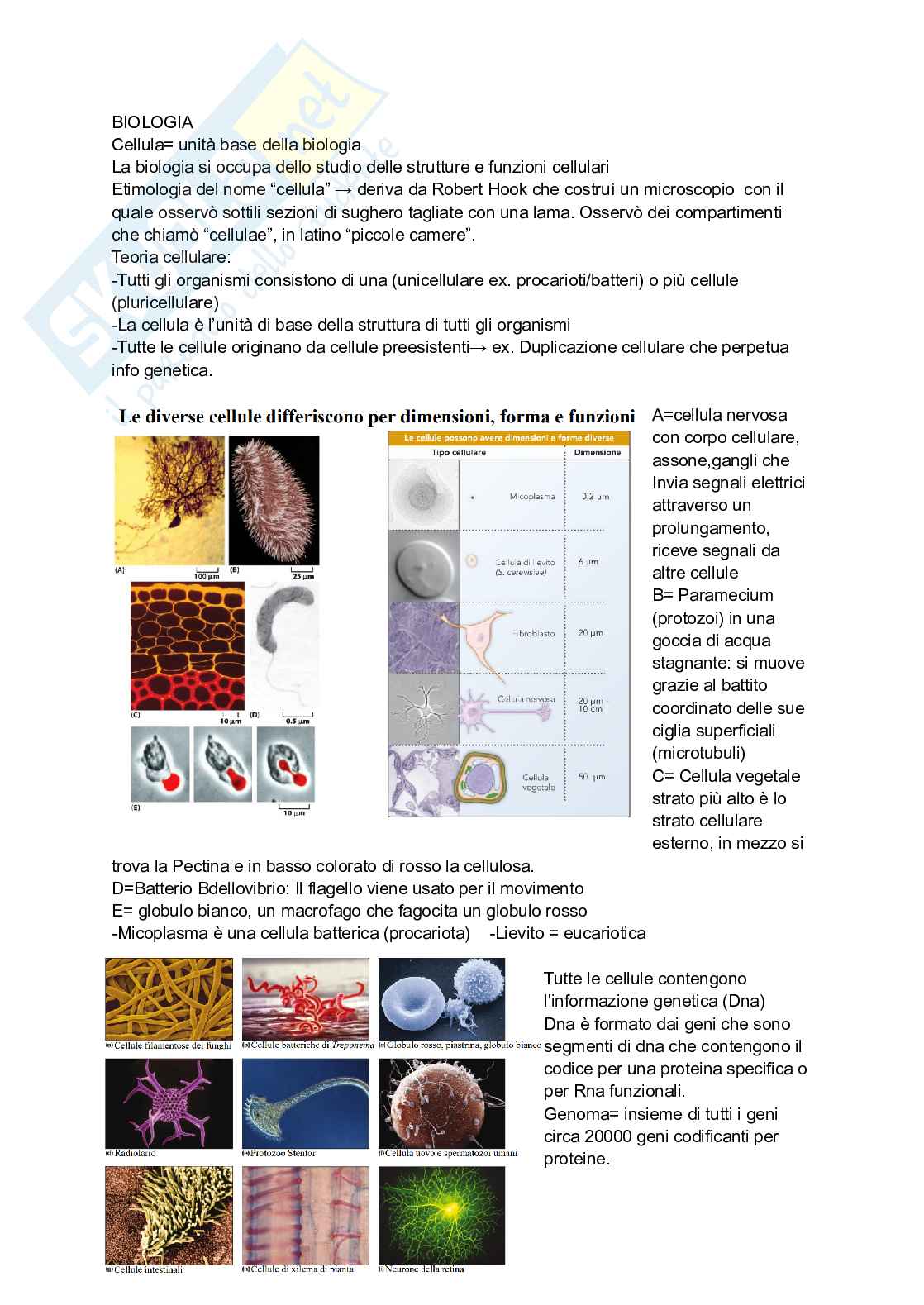 Biologia animale con elementi di biochimica Pag. 1