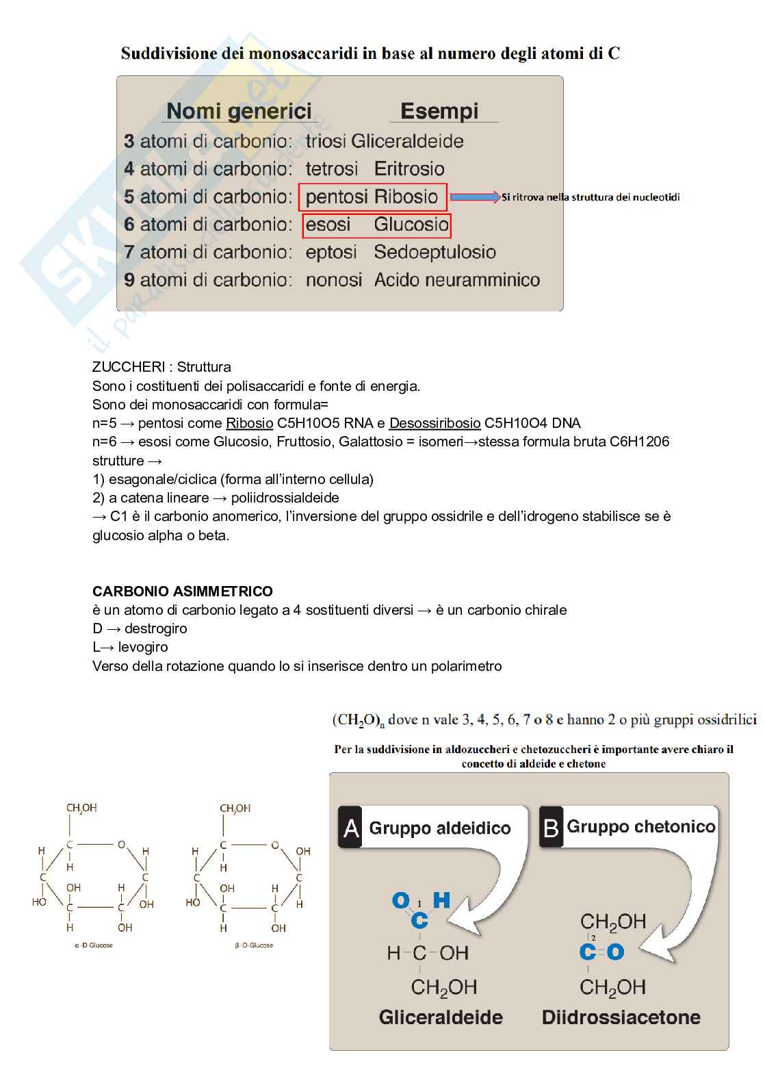 Biologia animale con elementi di biochimica Pag. 11