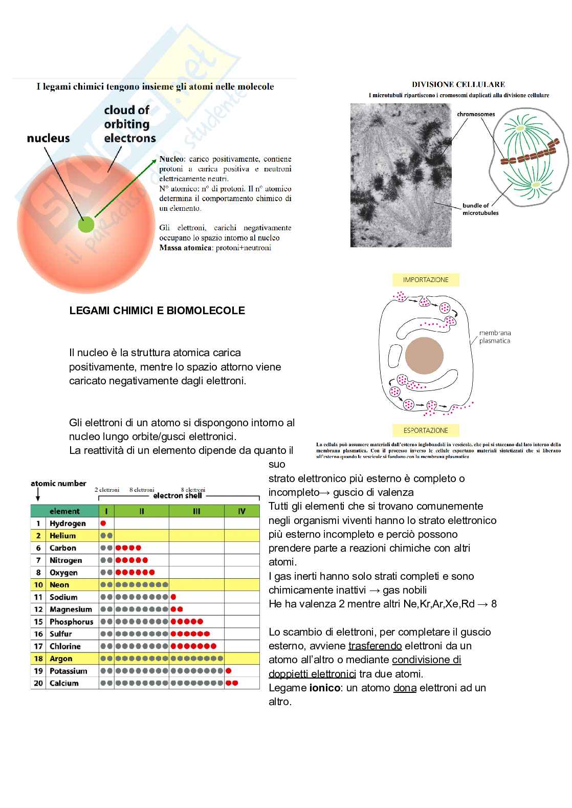 Biologia animale con elementi di biochimica Pag. 6