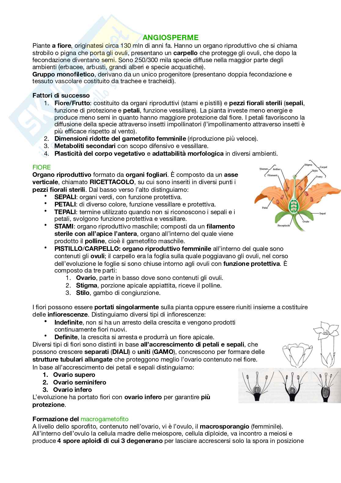Appunti di Botanica  Pag. 56