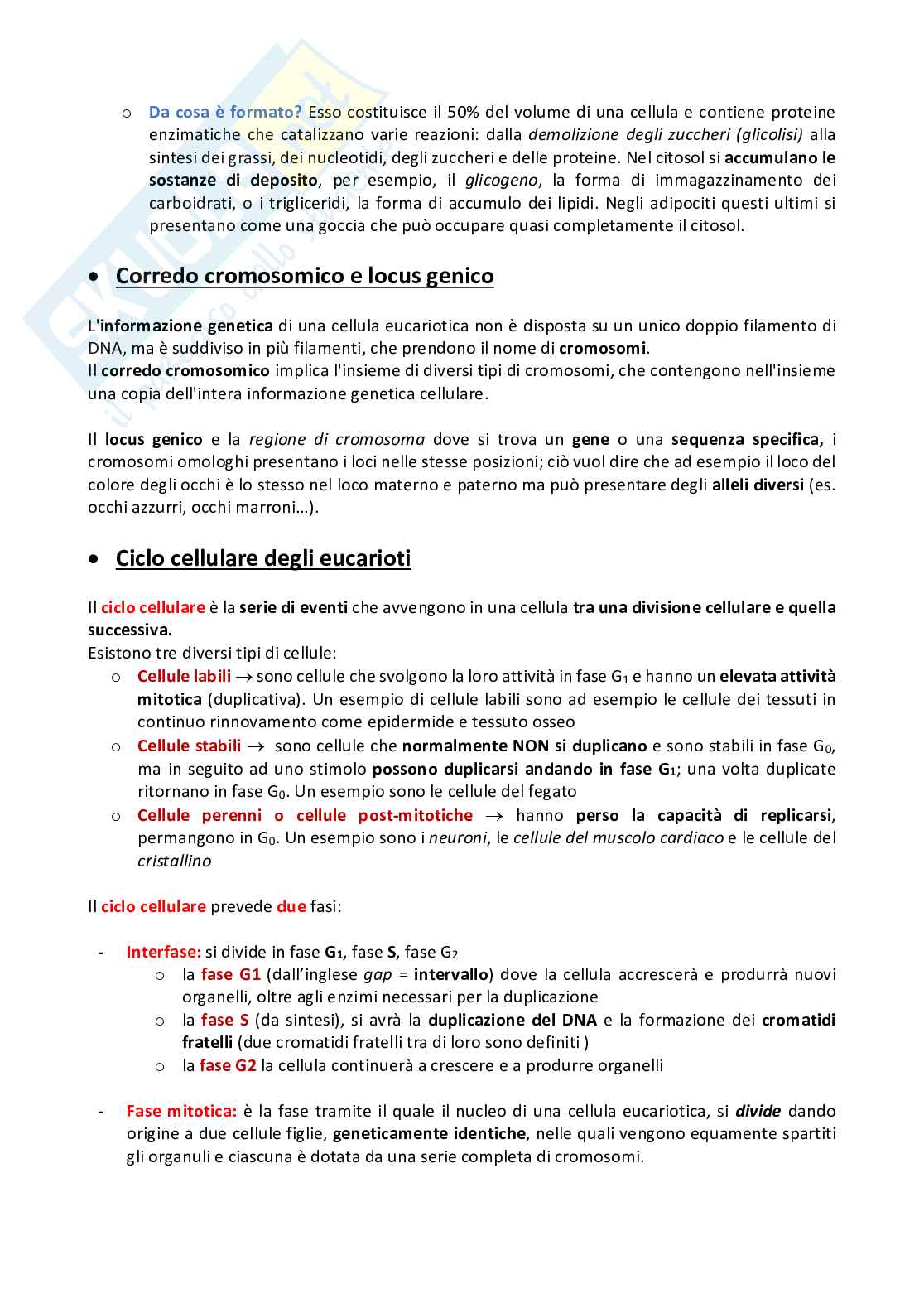 Riassunto esame Istologia, Prof. Bonfiglio Rita, libro consigliato Istologia Testo e Atlante (VIII ed italiana, 2020), Mescher Pag. 16
