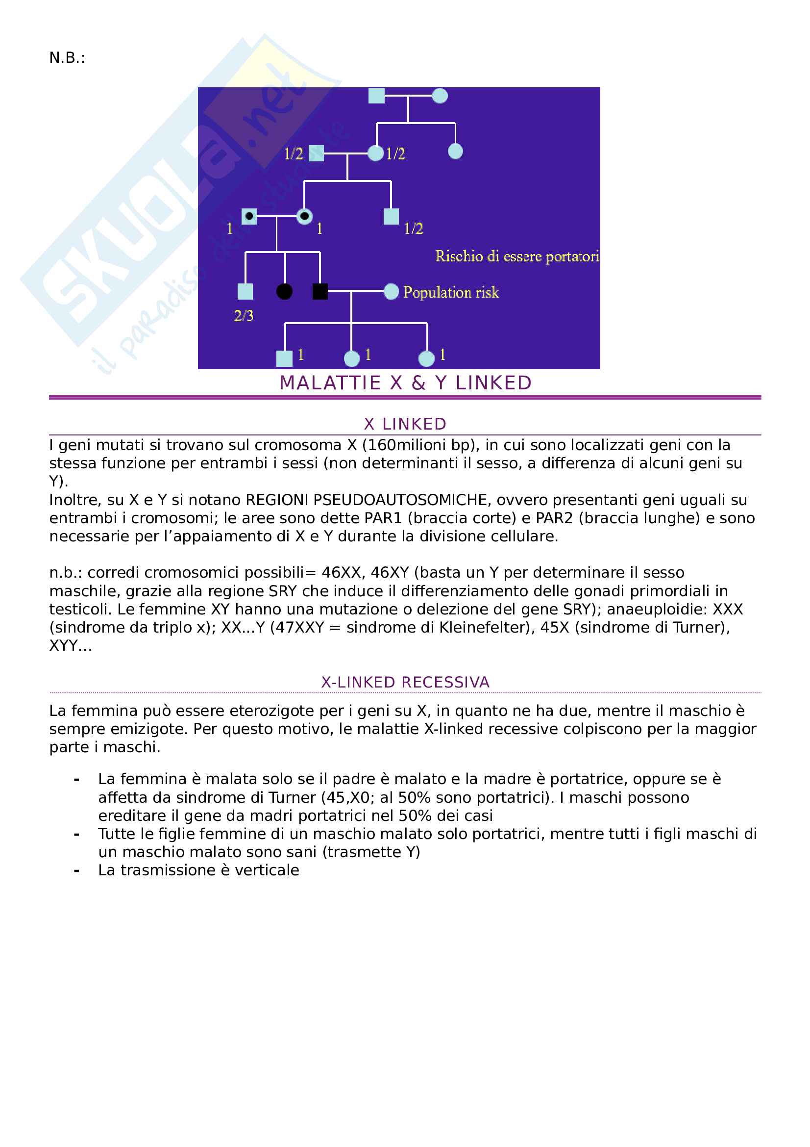 Genetica medica Pag. 6