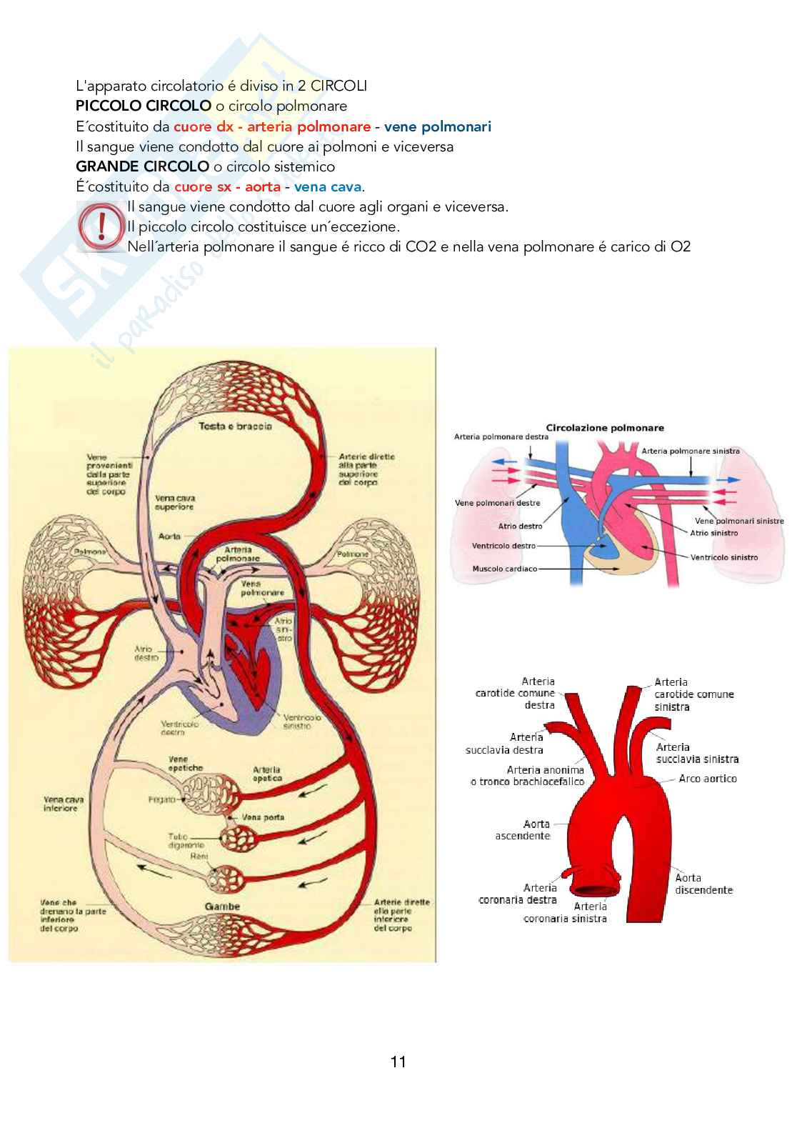Fisiologia 1 Pag. 11