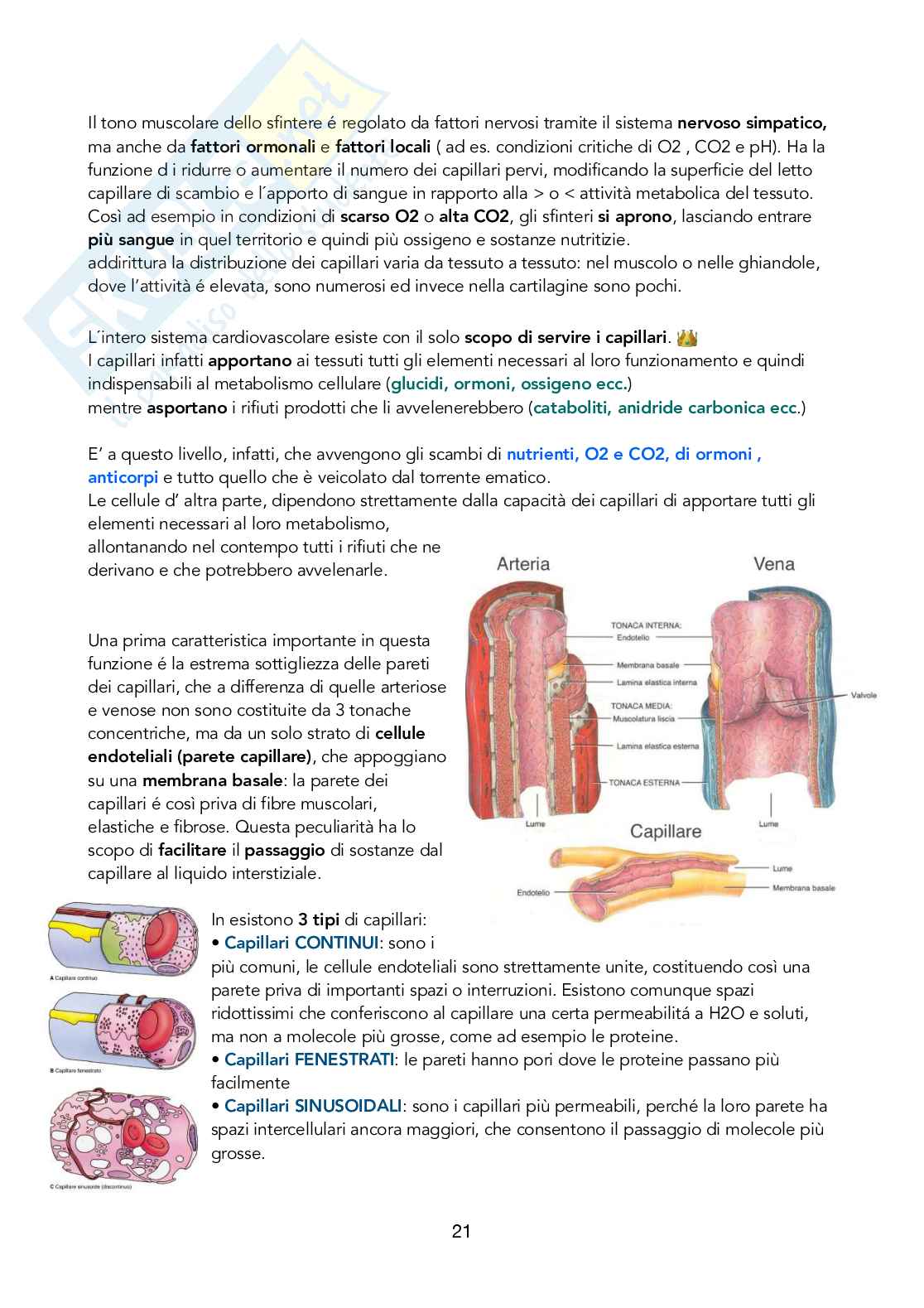 Fisiologia 1 Pag. 21