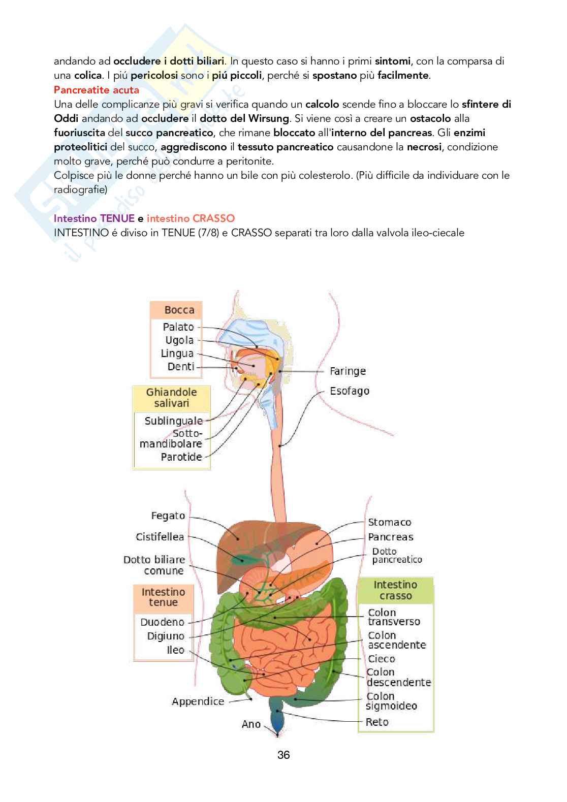 Fisiologia 1 Pag. 36