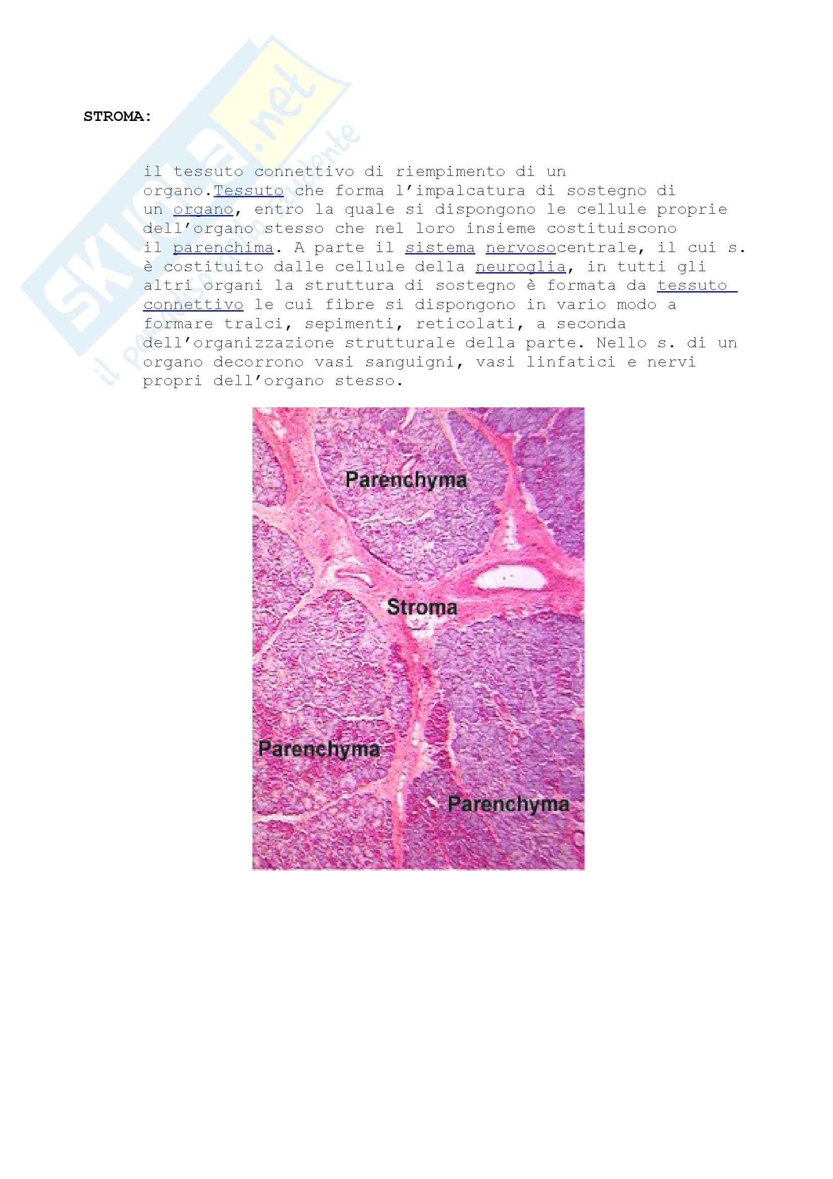 Nomenclatura e concetti generali, Anatomia Pag. 31