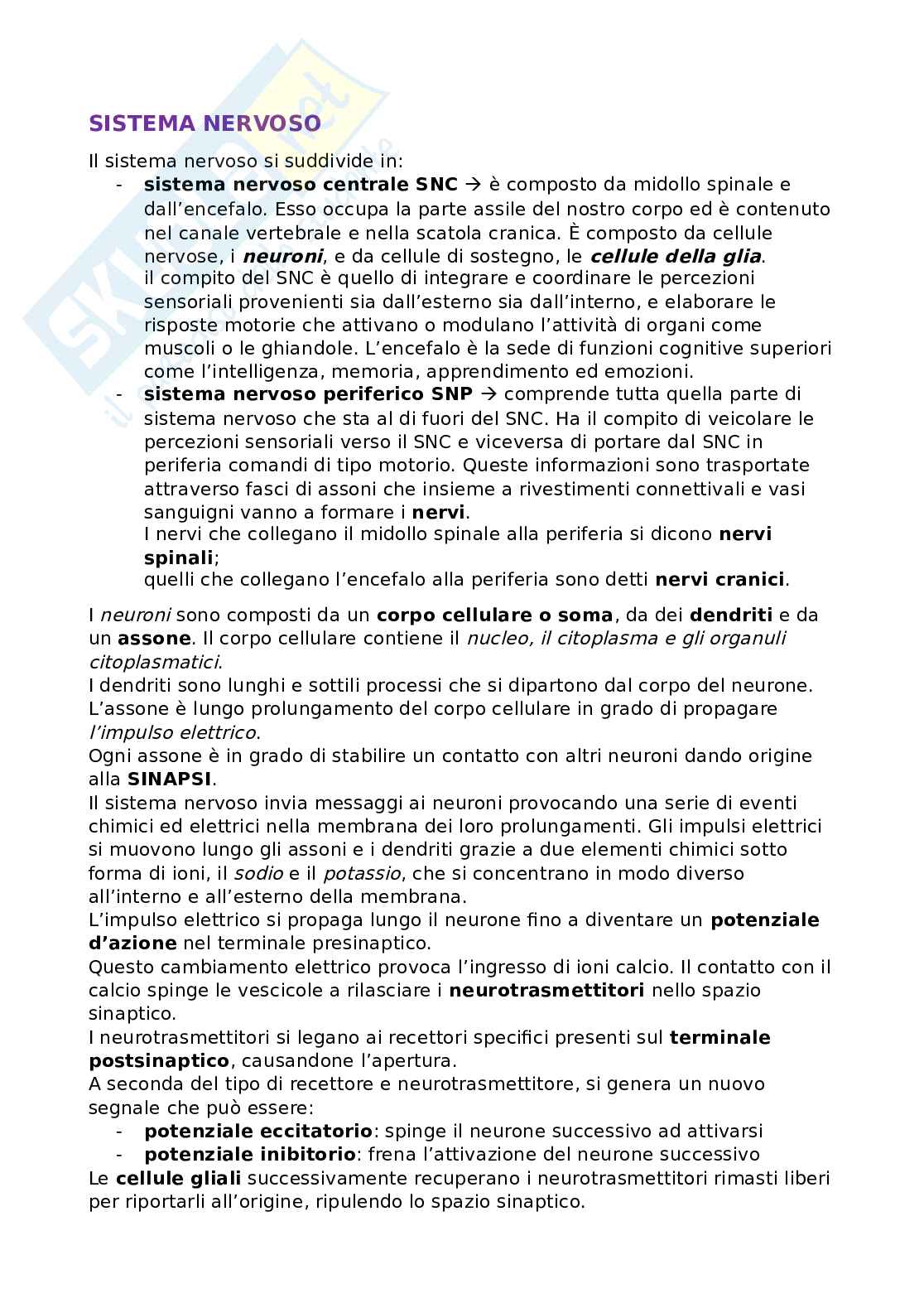 Riassunto esame Anatomia, Prof. Bandiera Pasquale, libro consigliato Anatomia umana, Martini Pag. 1